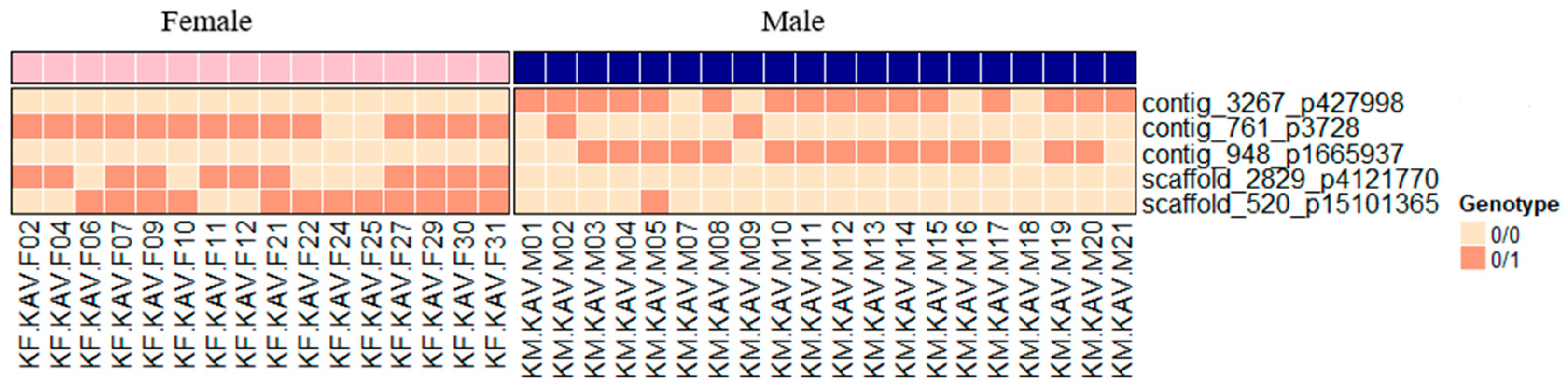 Animals 15 02445 g003 Animals 15 02445 g003