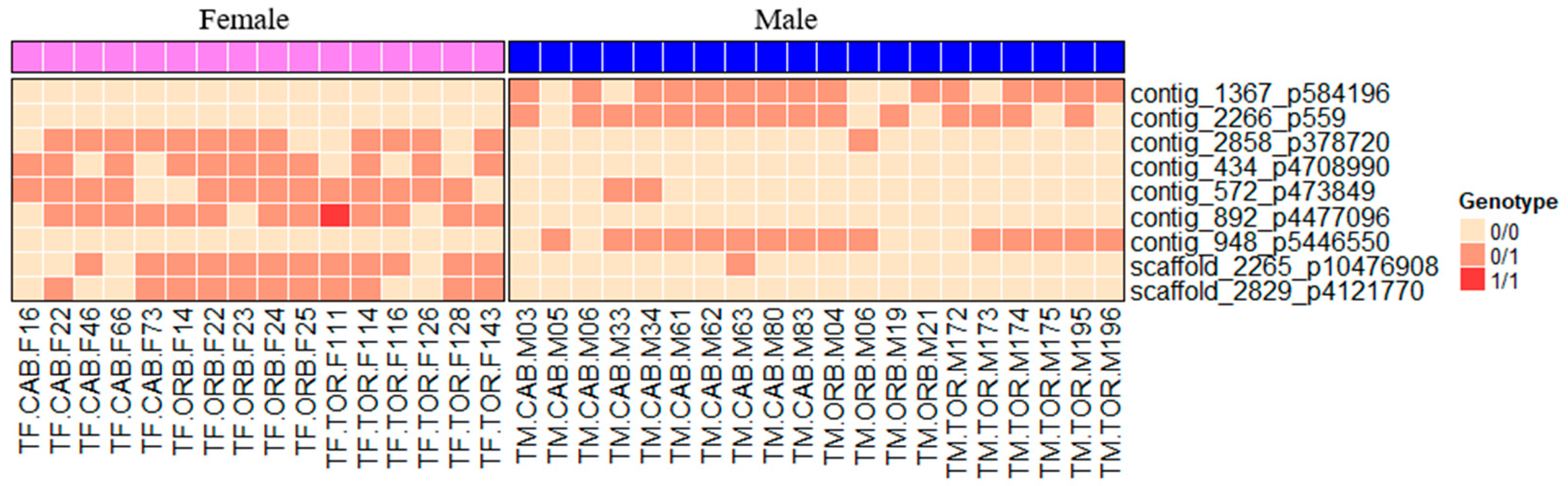 Animals 15 02445 g004 Animals 15 02445 g004