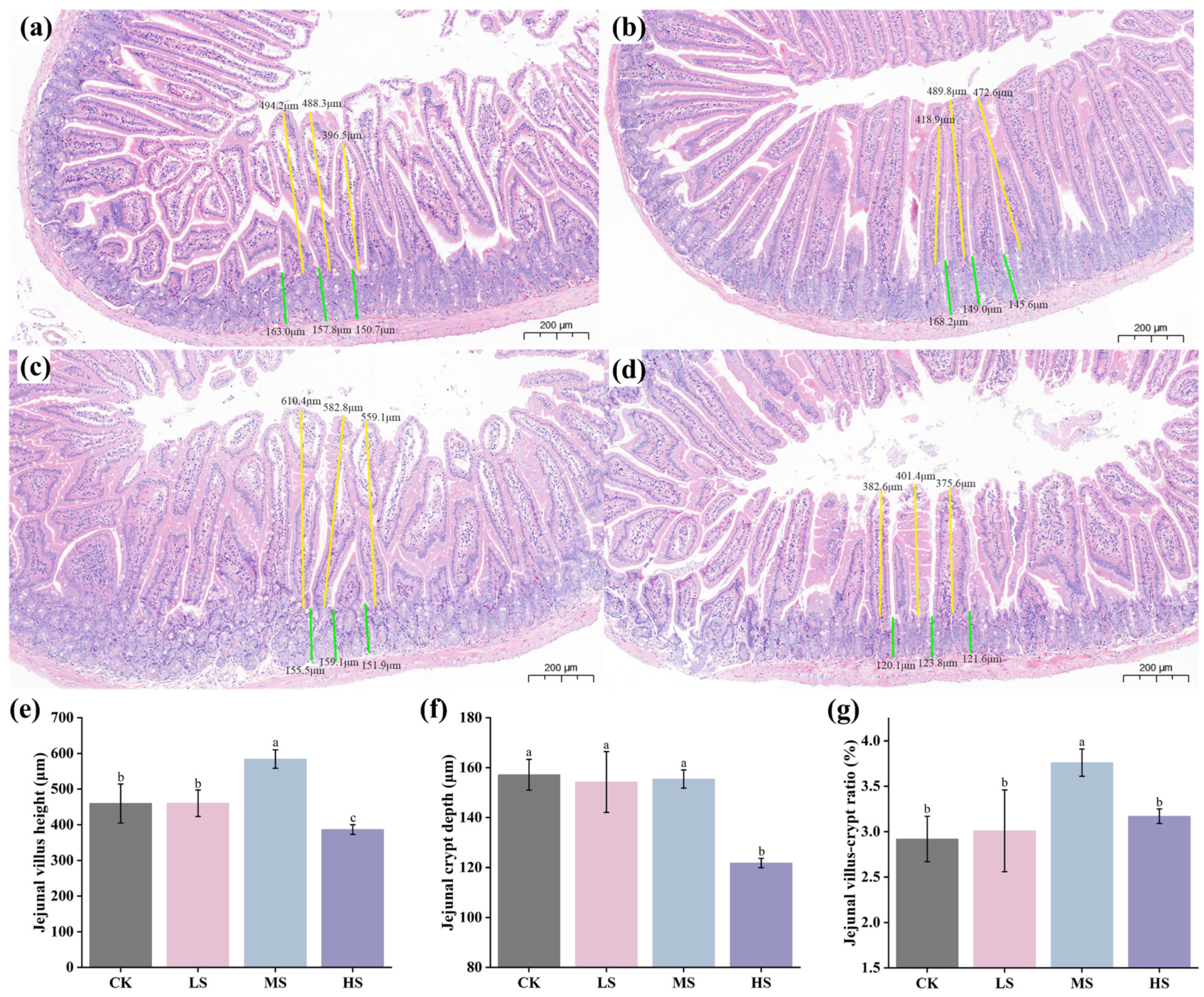 Animals 15 02446 g003 Animals 15 02446 g003
