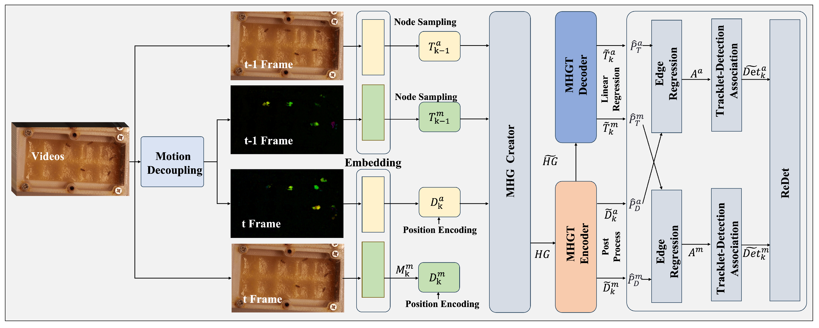 Animals 15 02448 g001 Animals 15 02448 g001