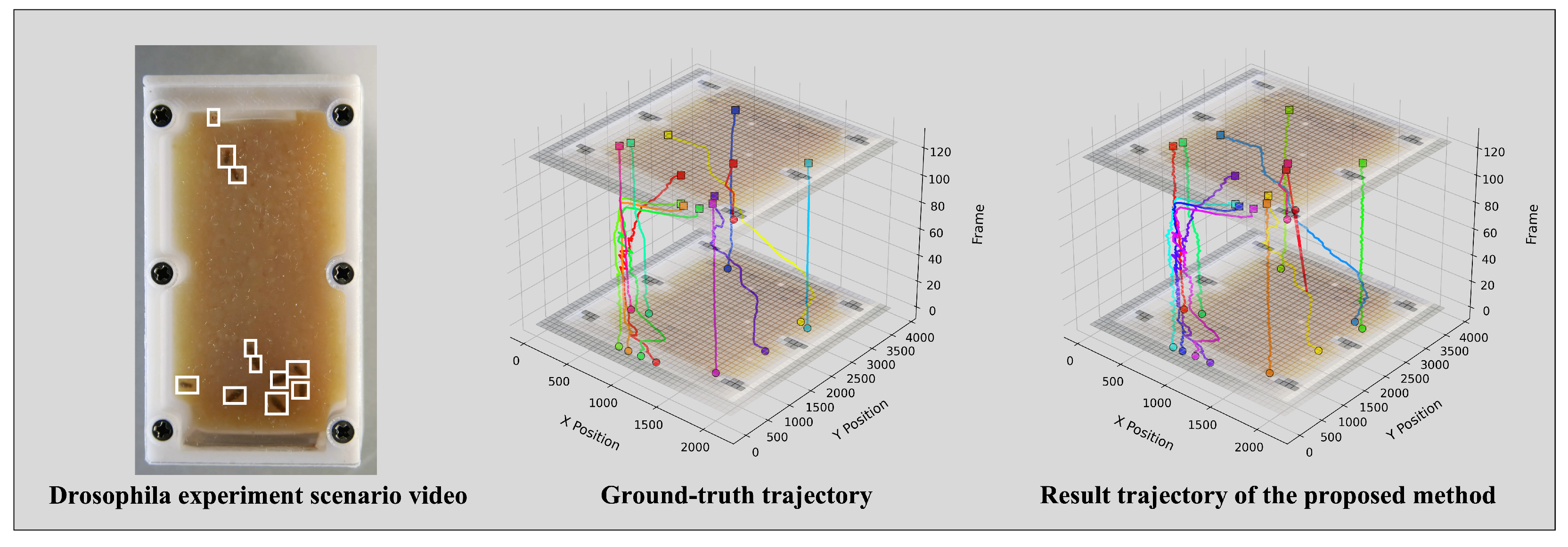 Animals 15 02448 g005 Animals 15 02448 g005