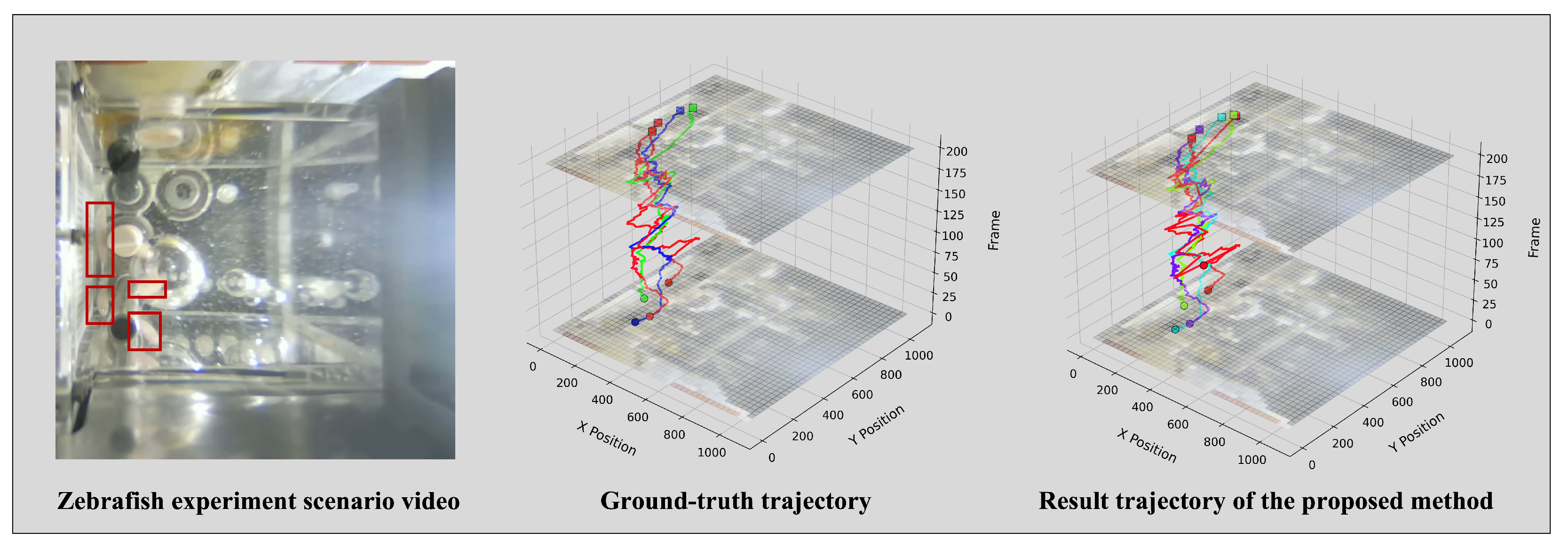 Animals 15 02448 g006 Animals 15 02448 g006