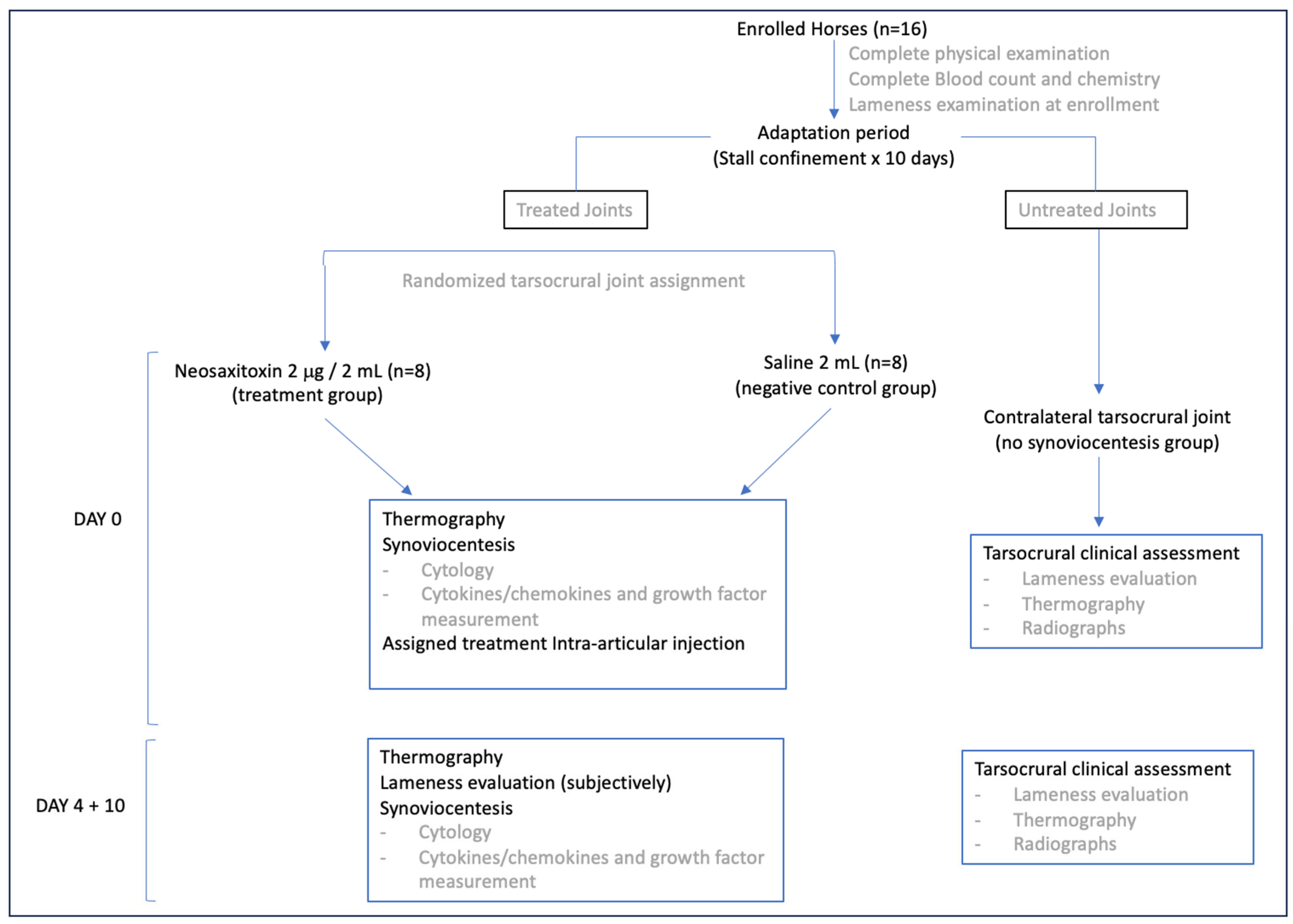 Animals 15 02453 g001 Animals 15 02453 g001