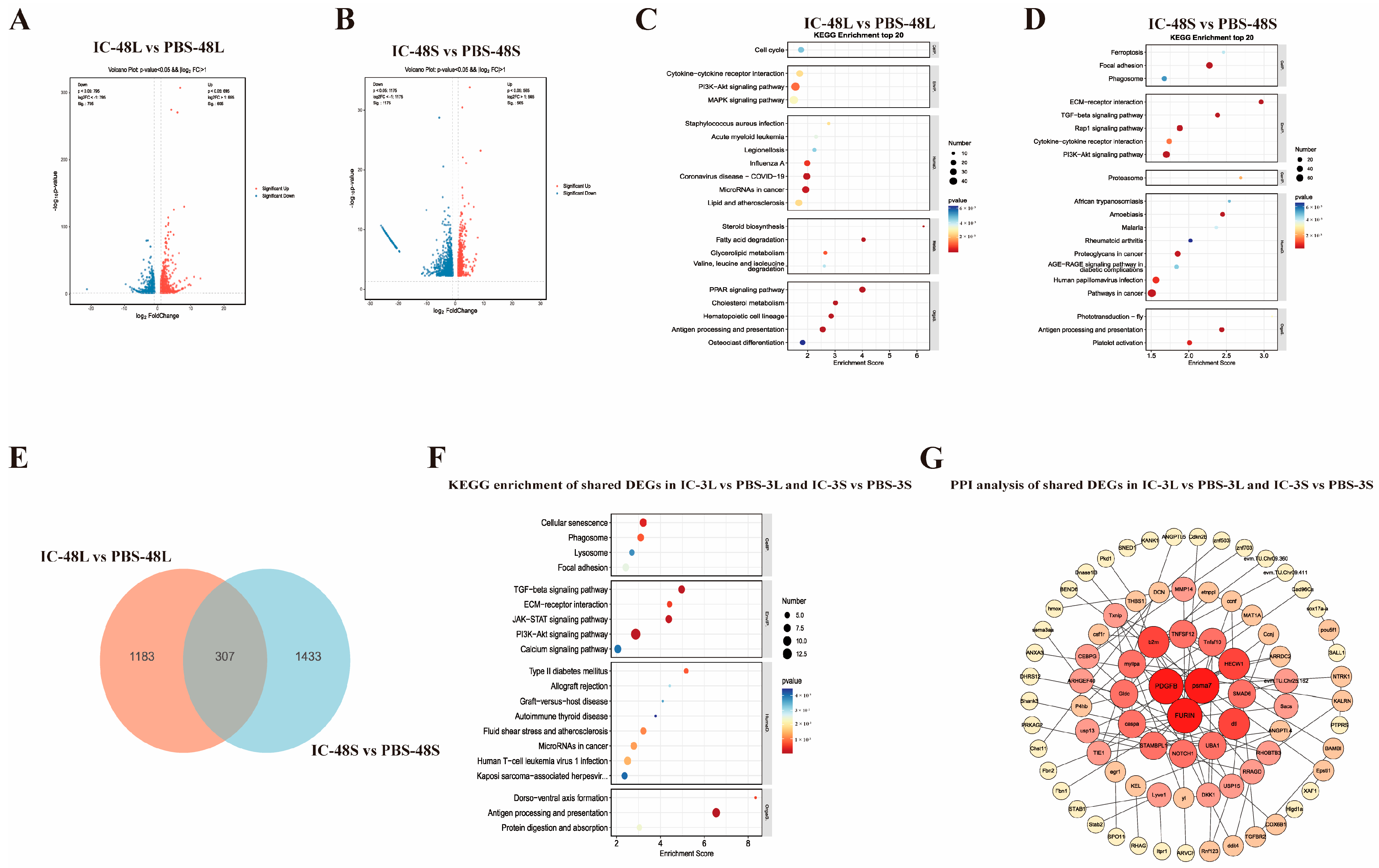 Animals 15 02454 g002