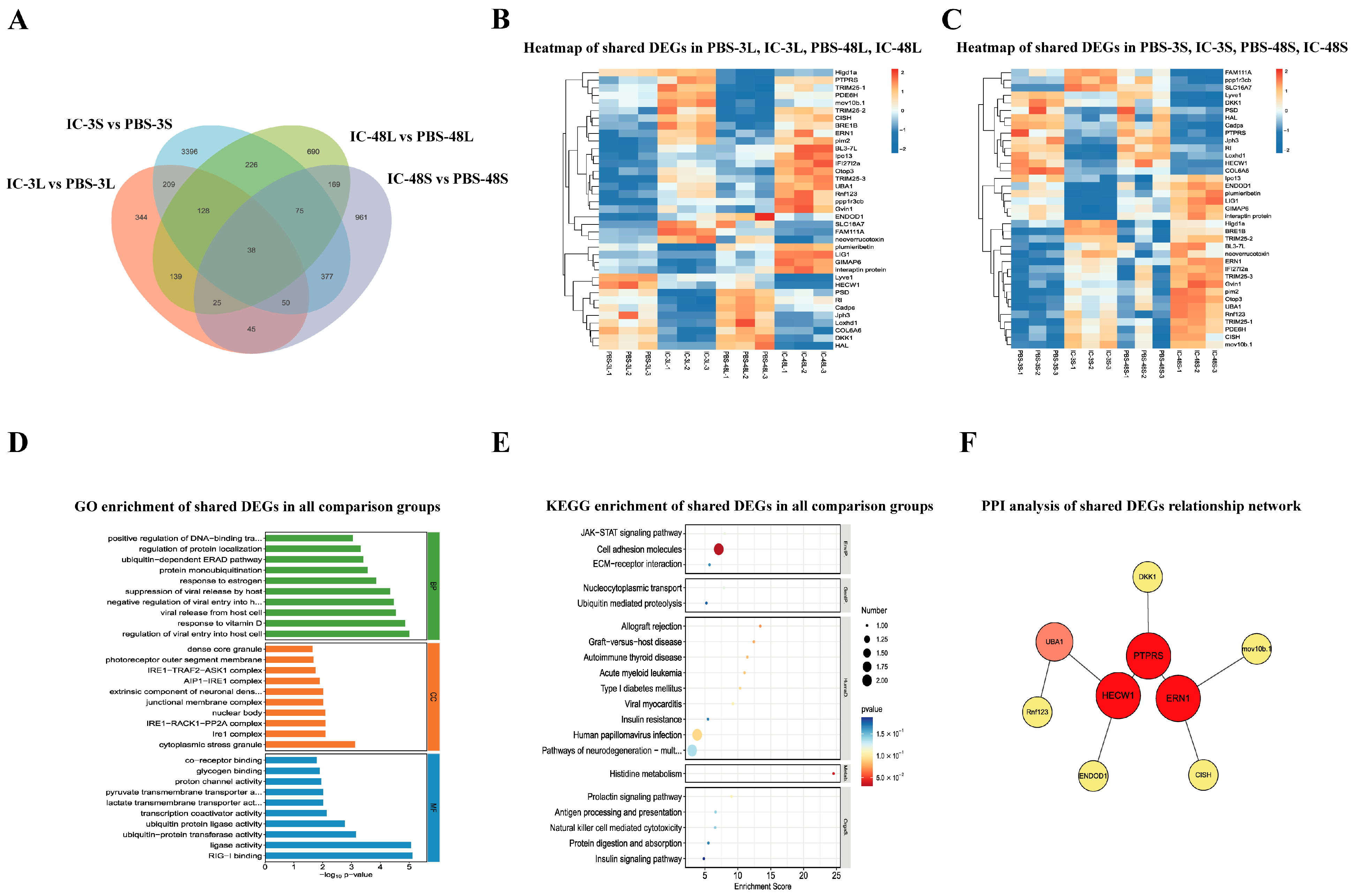 Animals 15 02454 g005