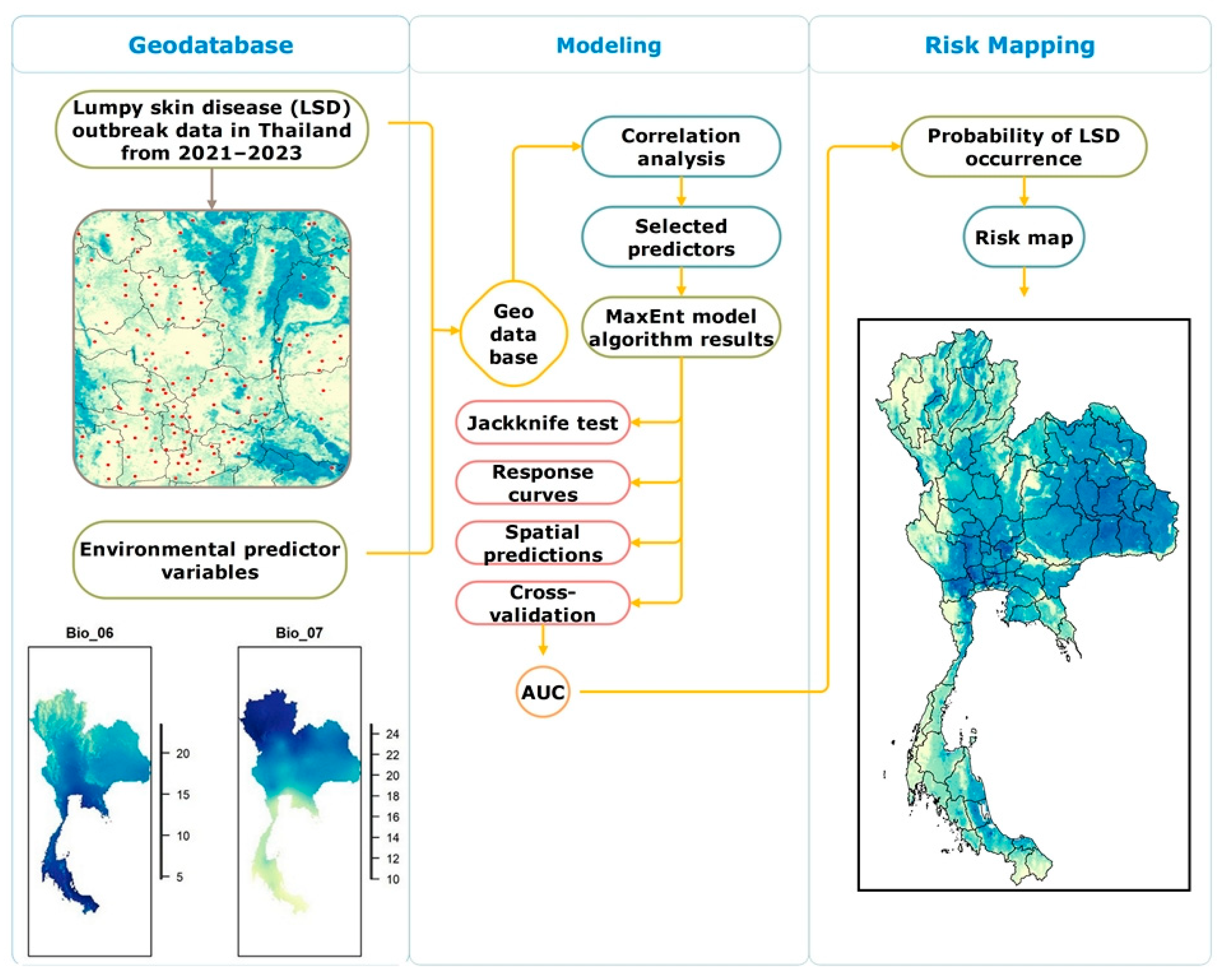 Animals 15 02456 g002