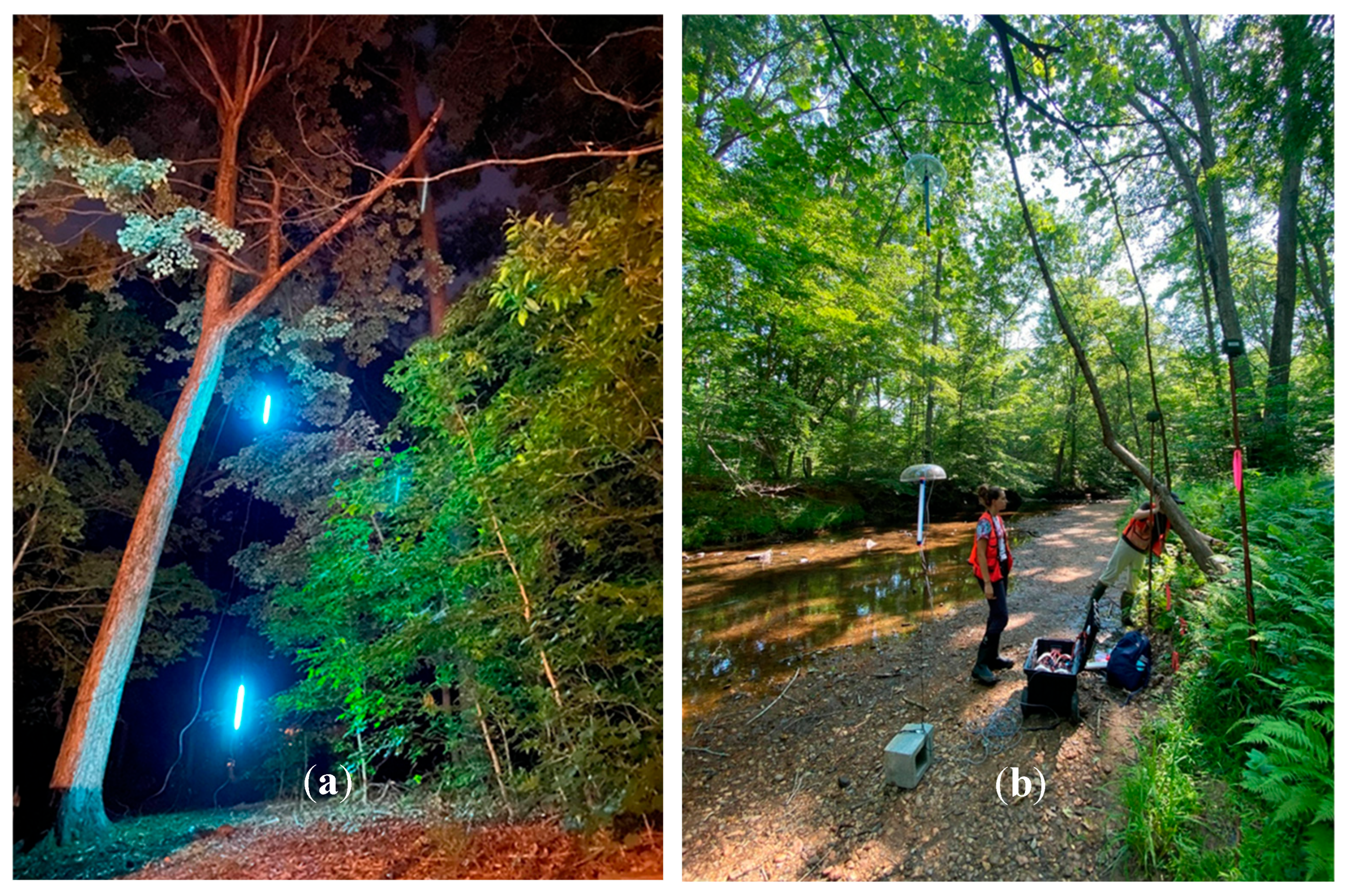 Animals 15 02458 g004