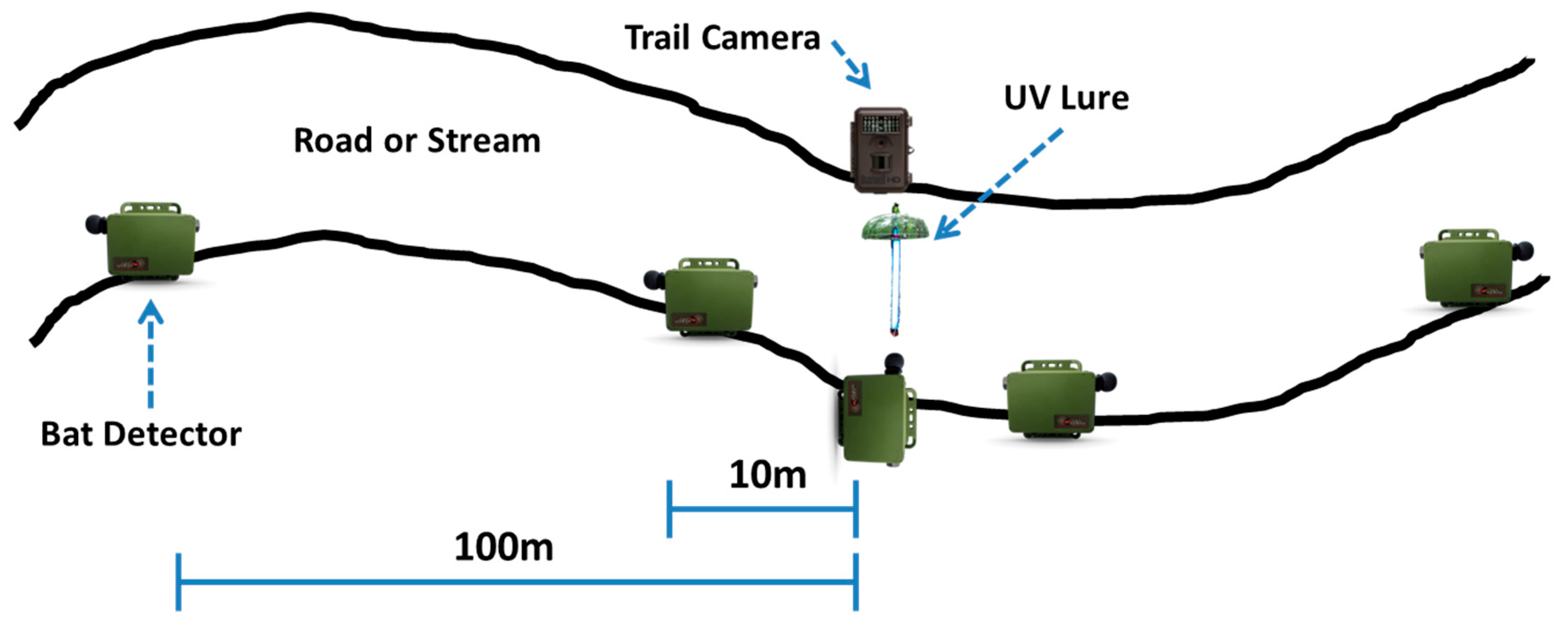 Animals 15 02458 g005