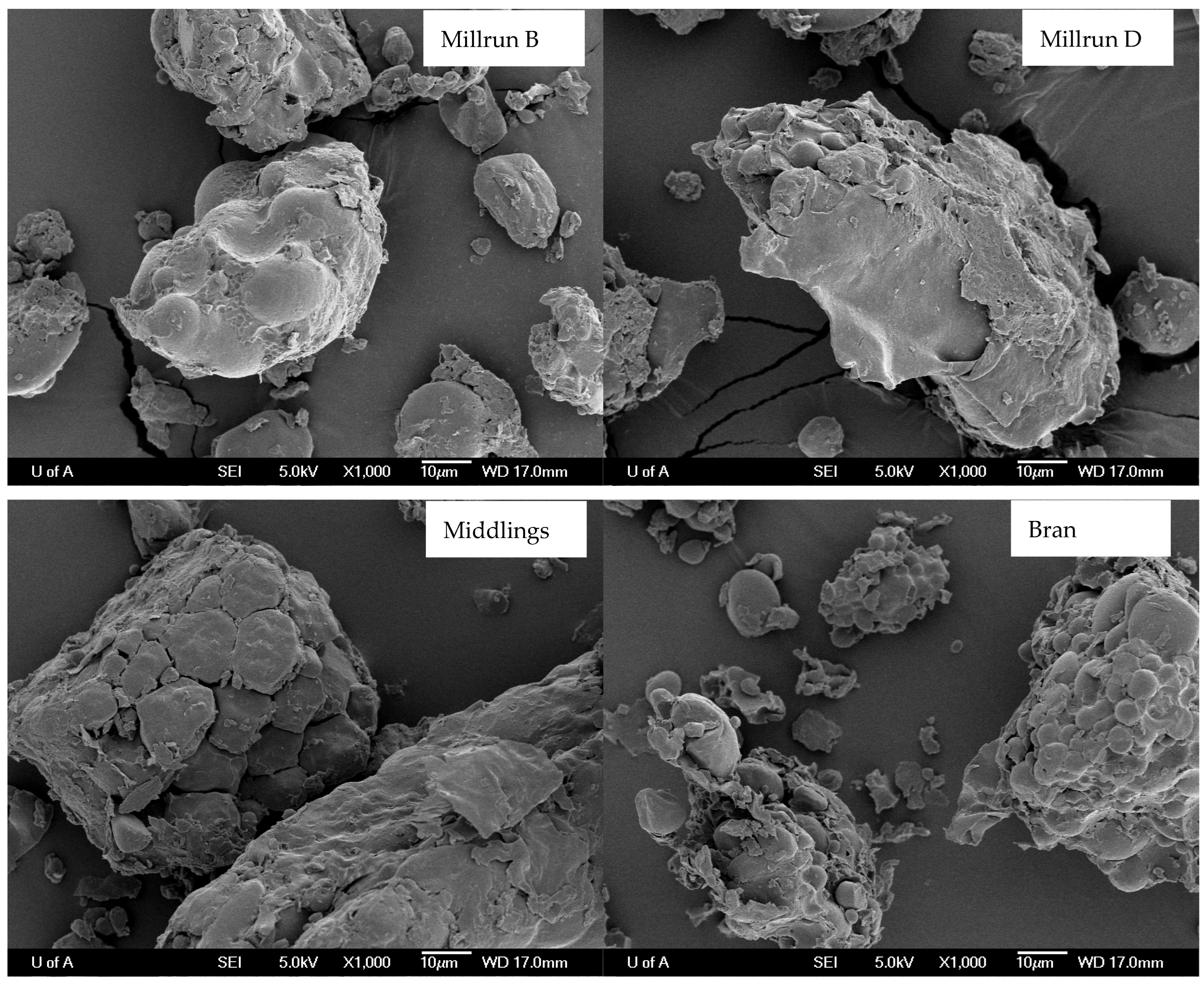 Animals 15 02460 g004b