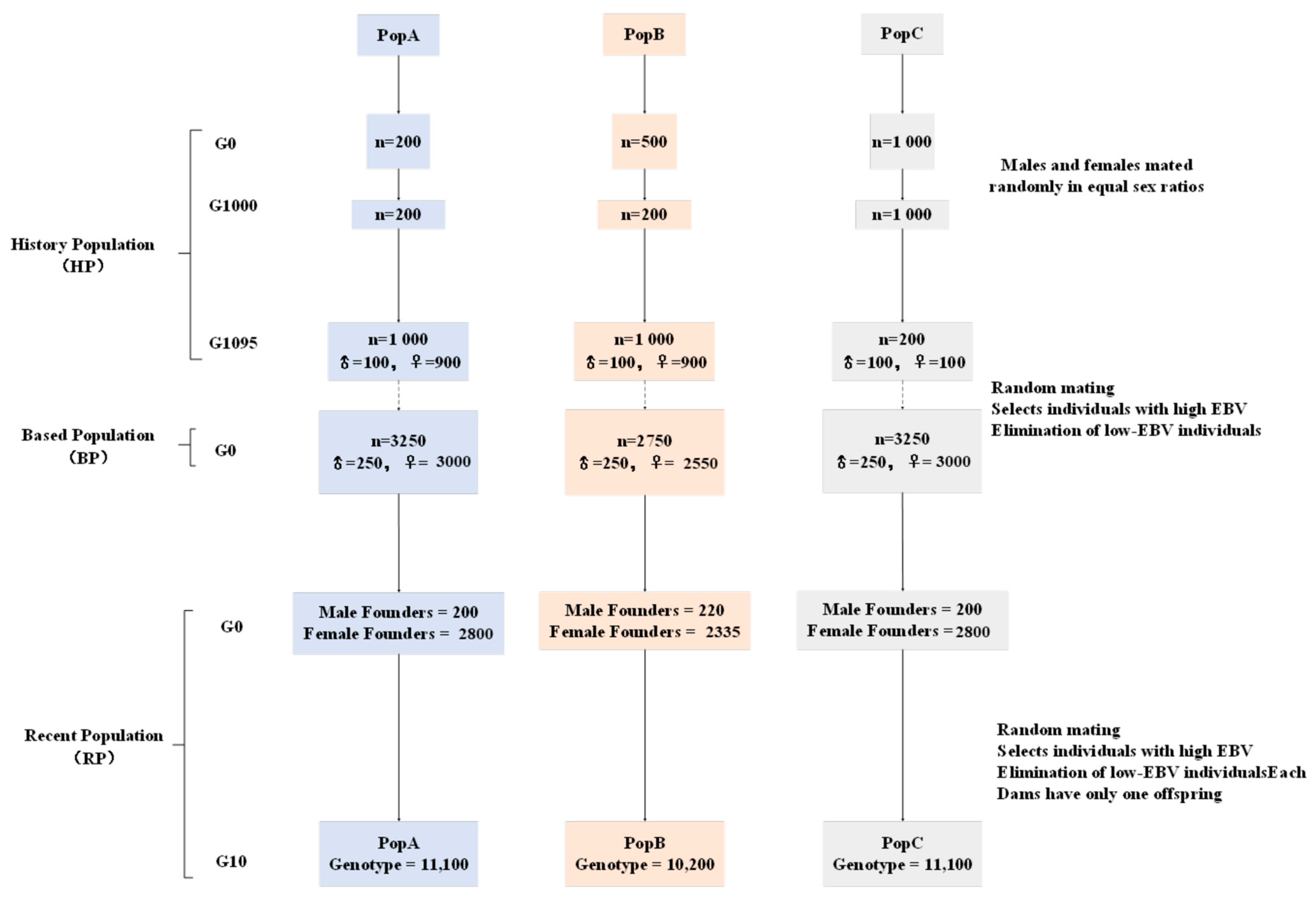 Animals 15 02463 g001