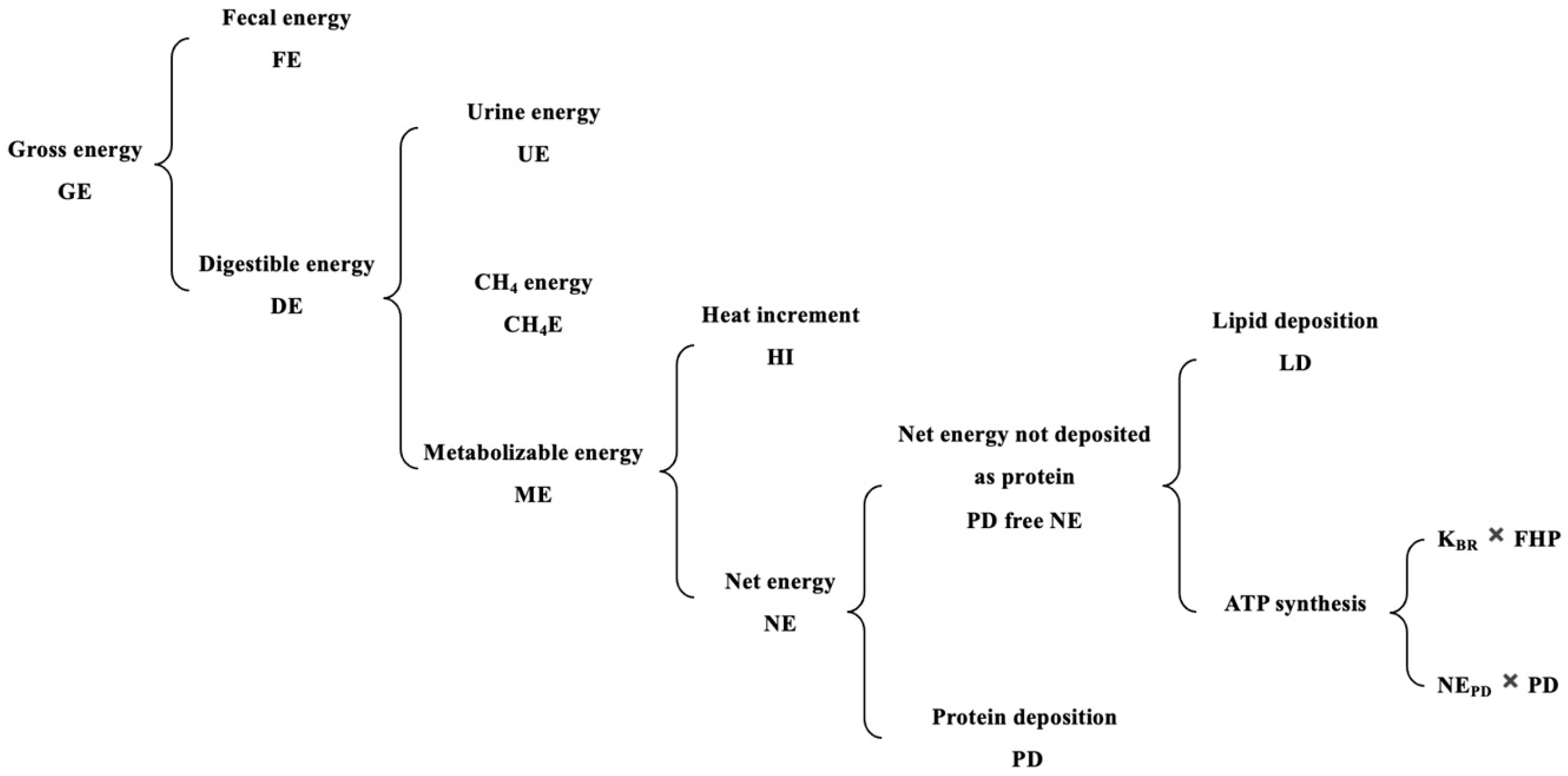 Animals 15 02464 g001 Animals 15 02464 g001
