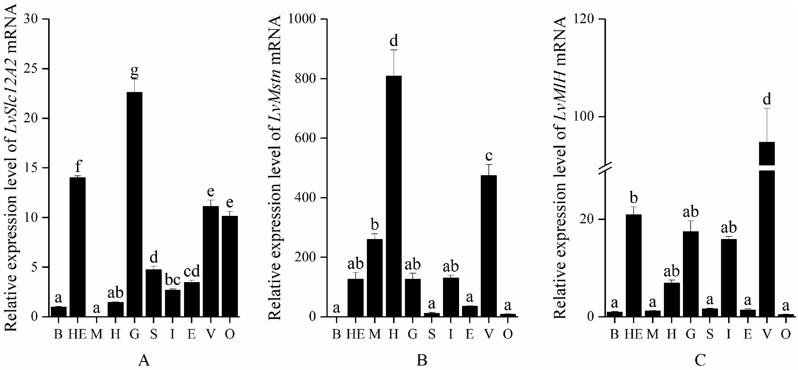 Animals 15 02467 g001 Animals 15 02467 g001