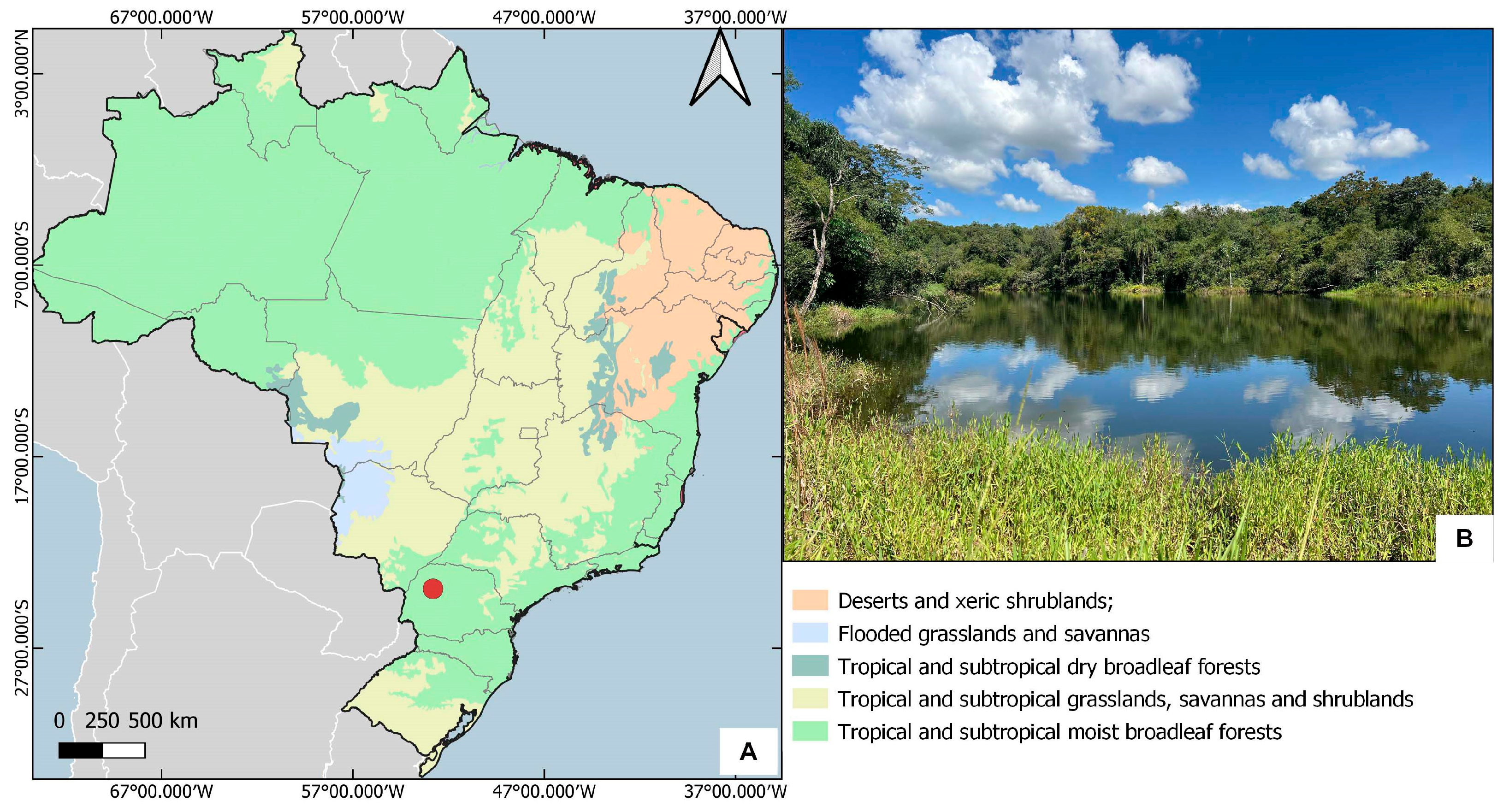 Animals 15 02468 g002 Animals 15 02468 g002