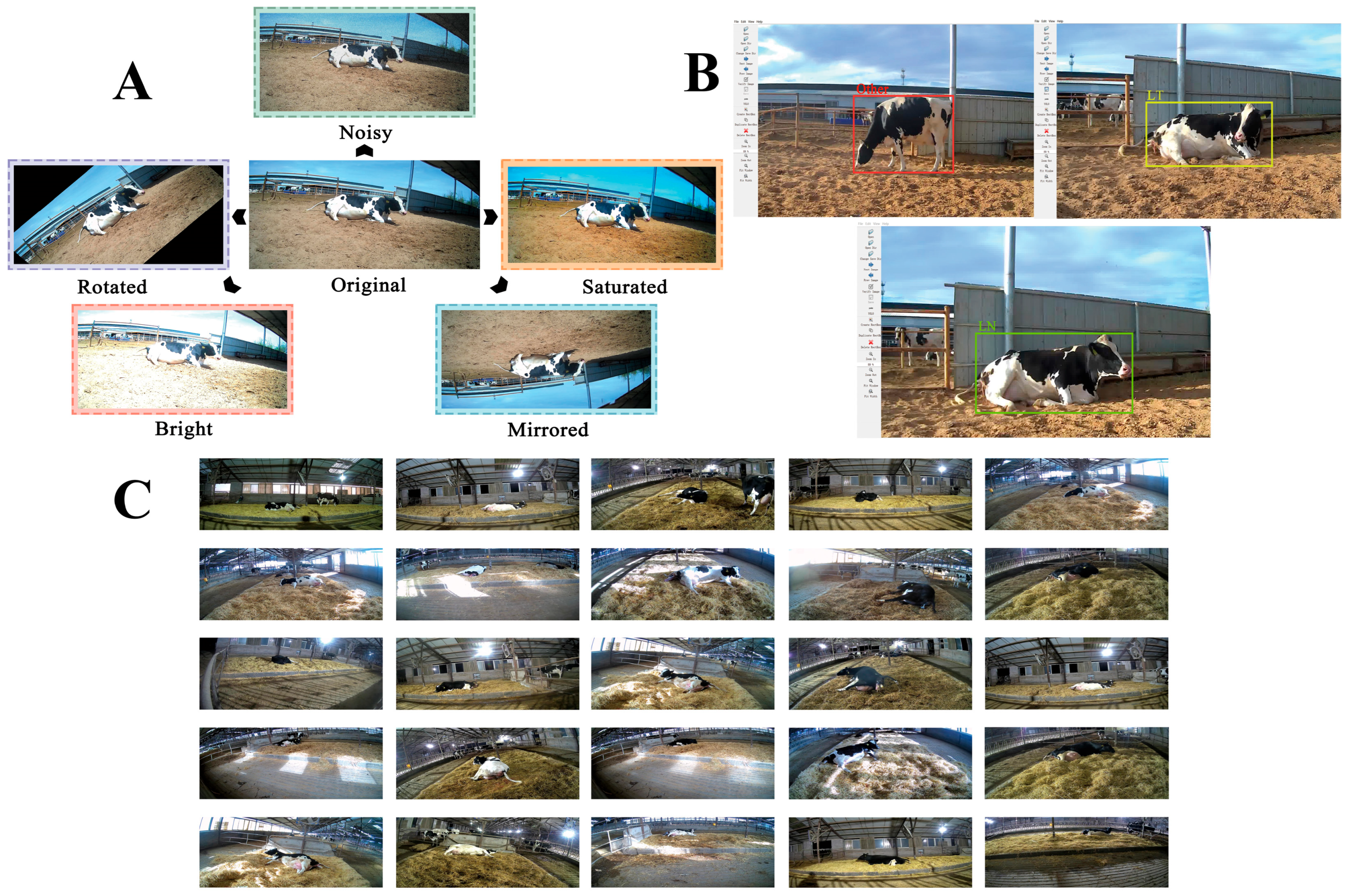 Animals 15 02470 g002 Animals 15 02470 g002