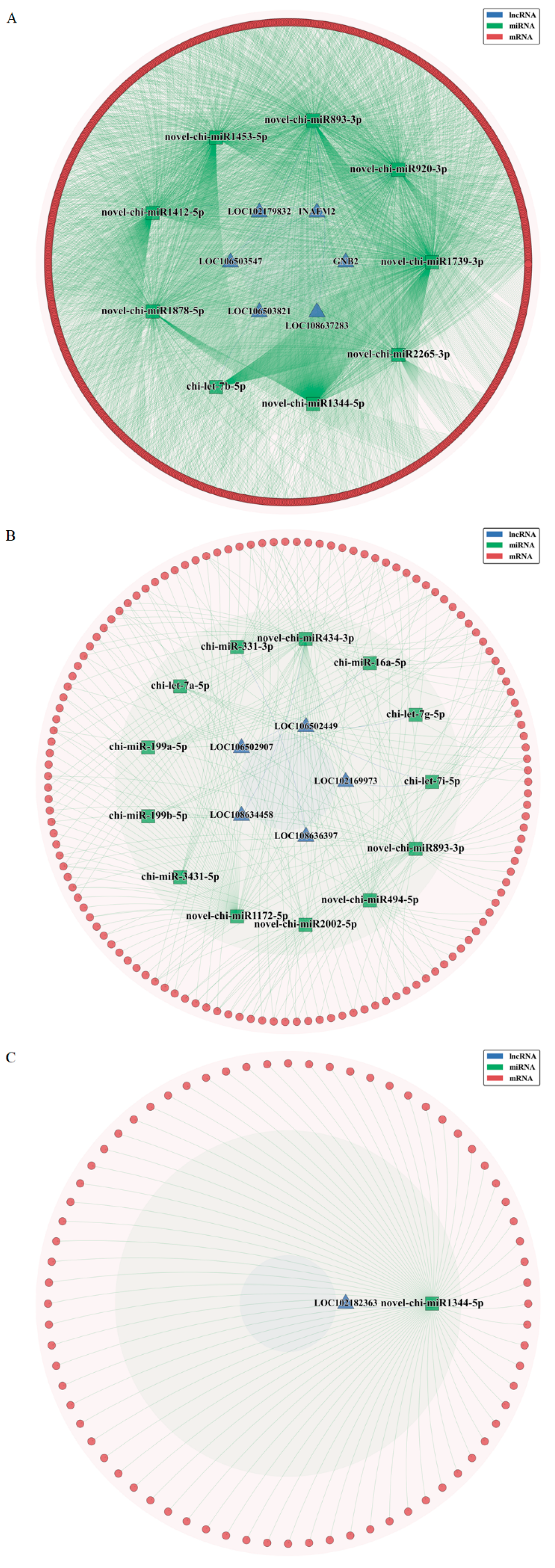 Animals 15 02471 g008