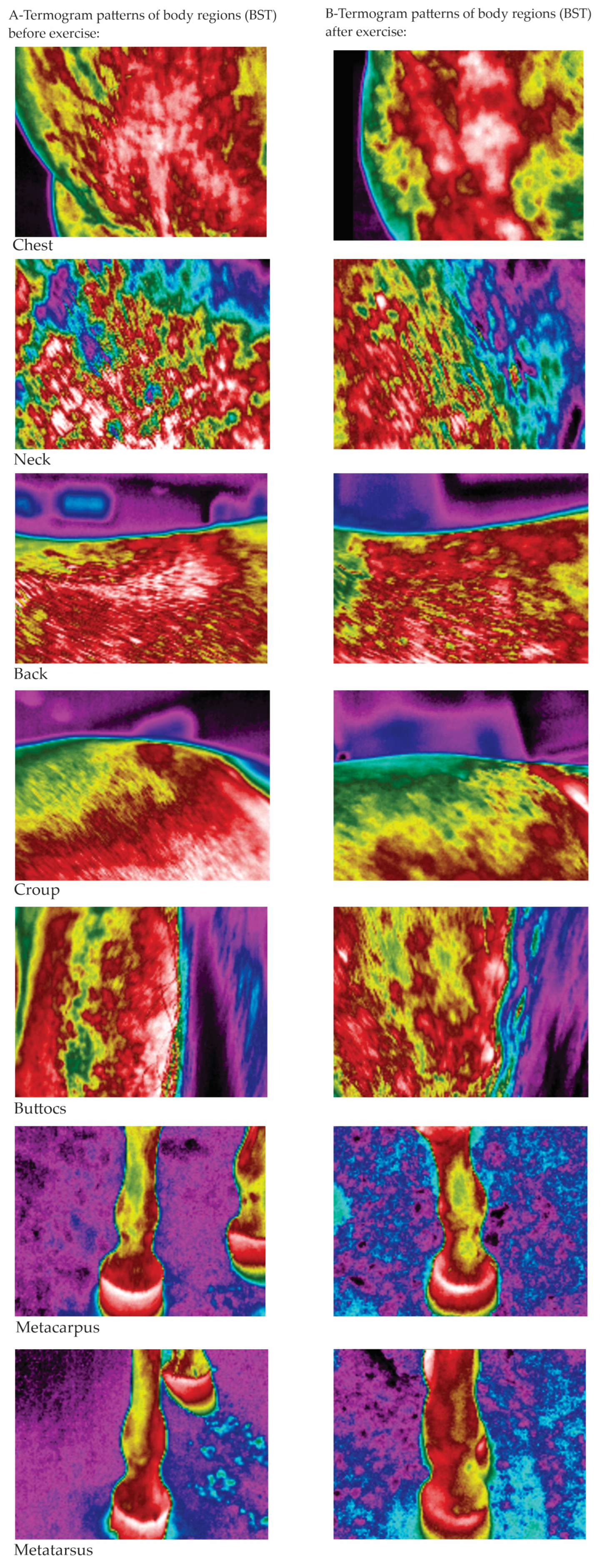 Animals 15 02479 g005 Animals 15 02479 g005