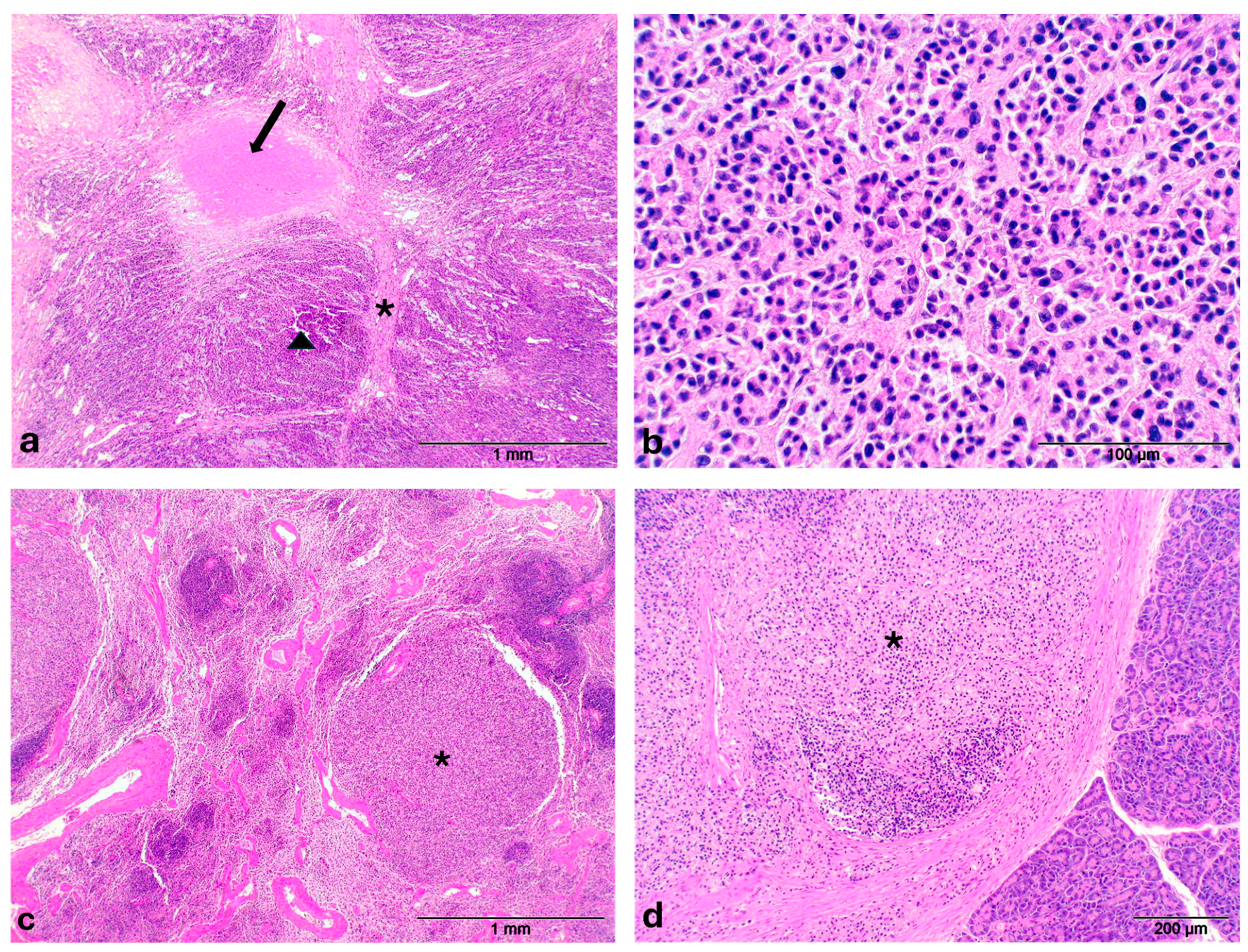 Animals 15 02484 g002 Animals 15 02484 g002