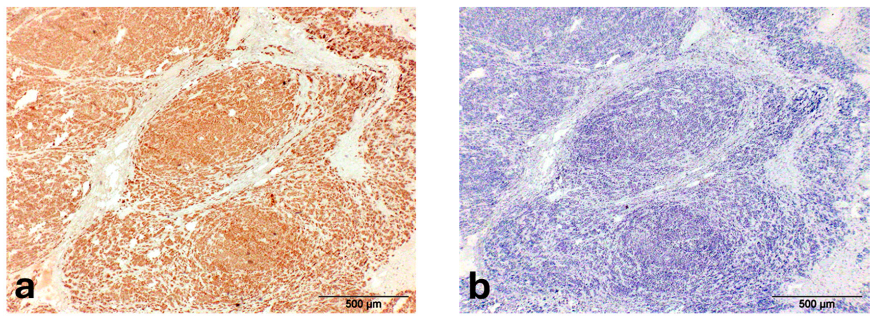 Animals 15 02484 g003 Animals 15 02484 g003