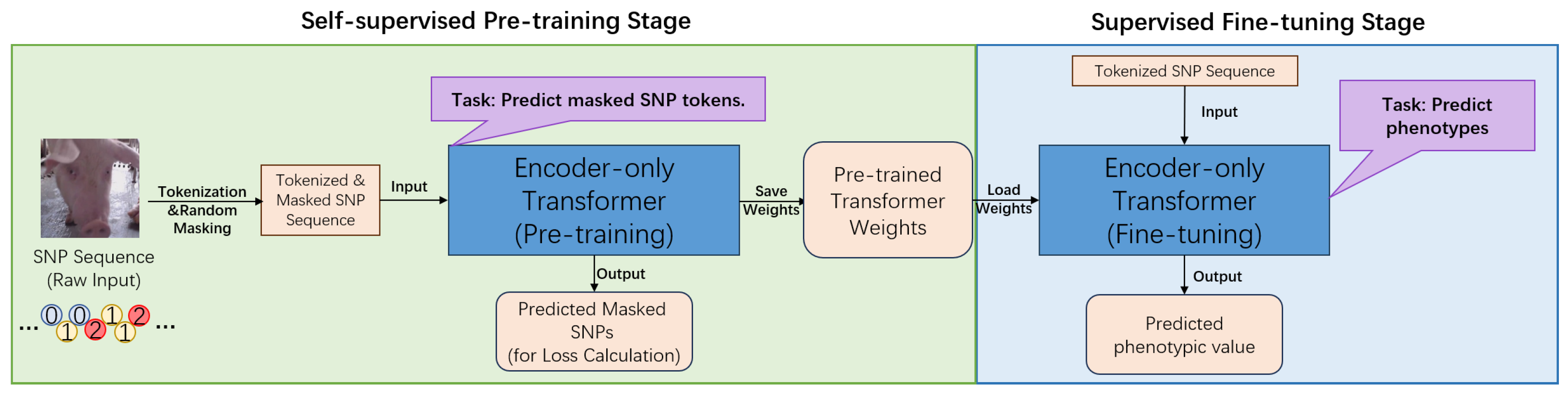Animals 15 02485 g001