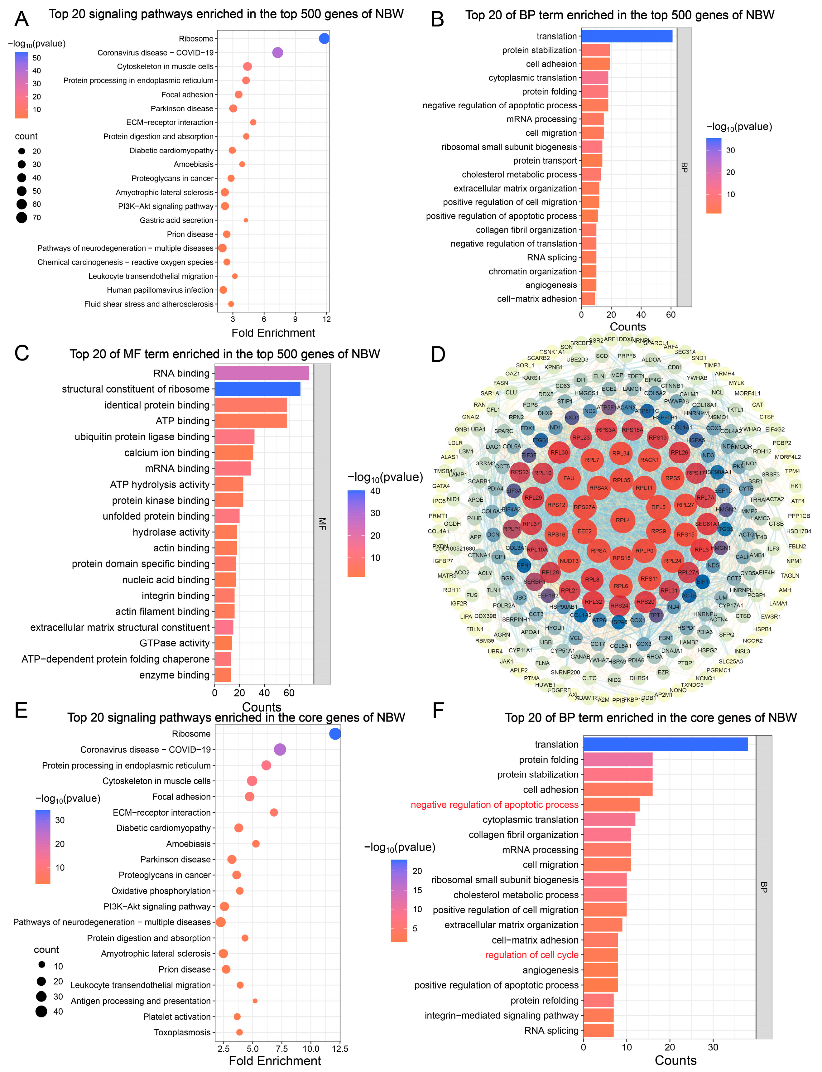 Animals 15 02486 g002