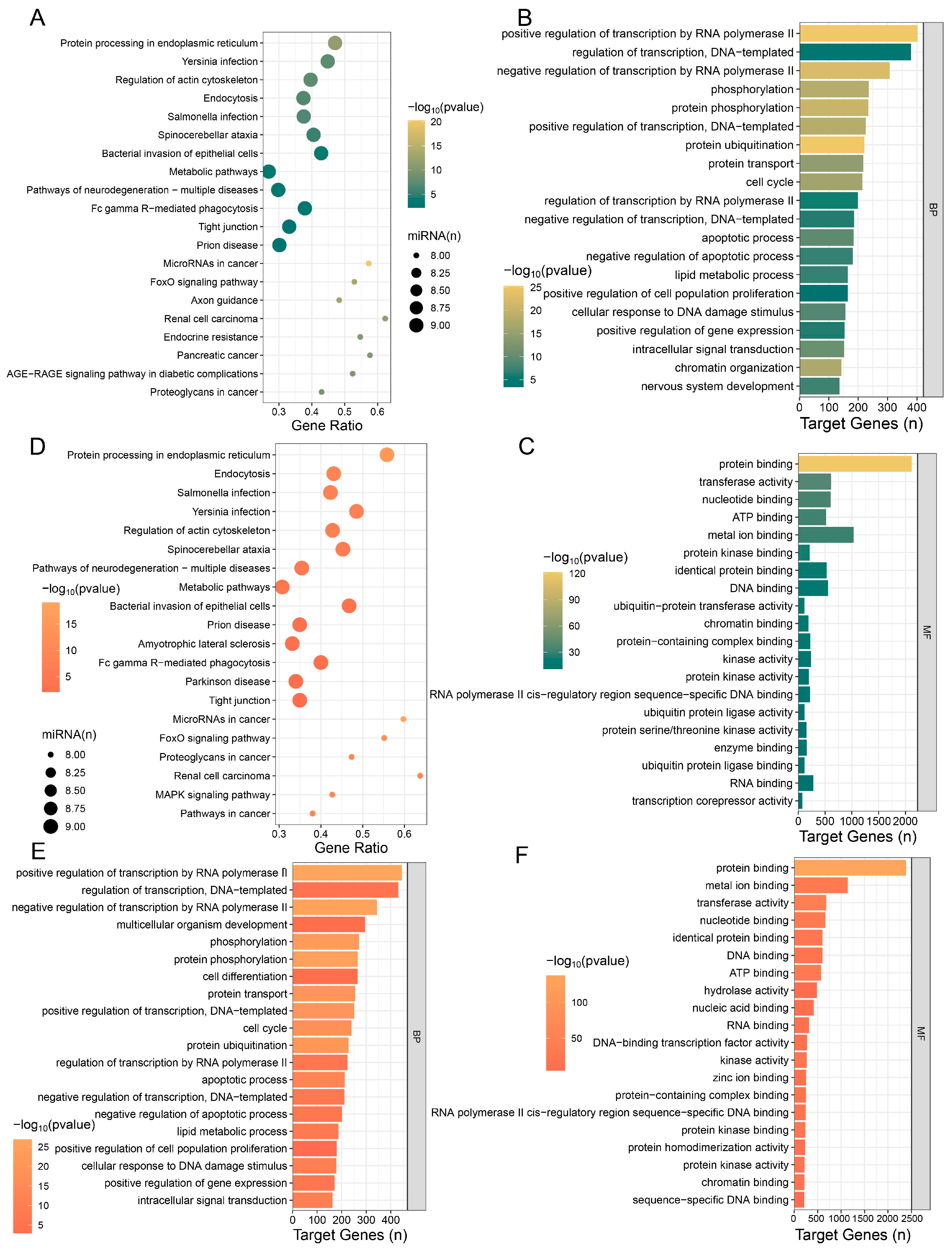 Animals 15 02486 g005