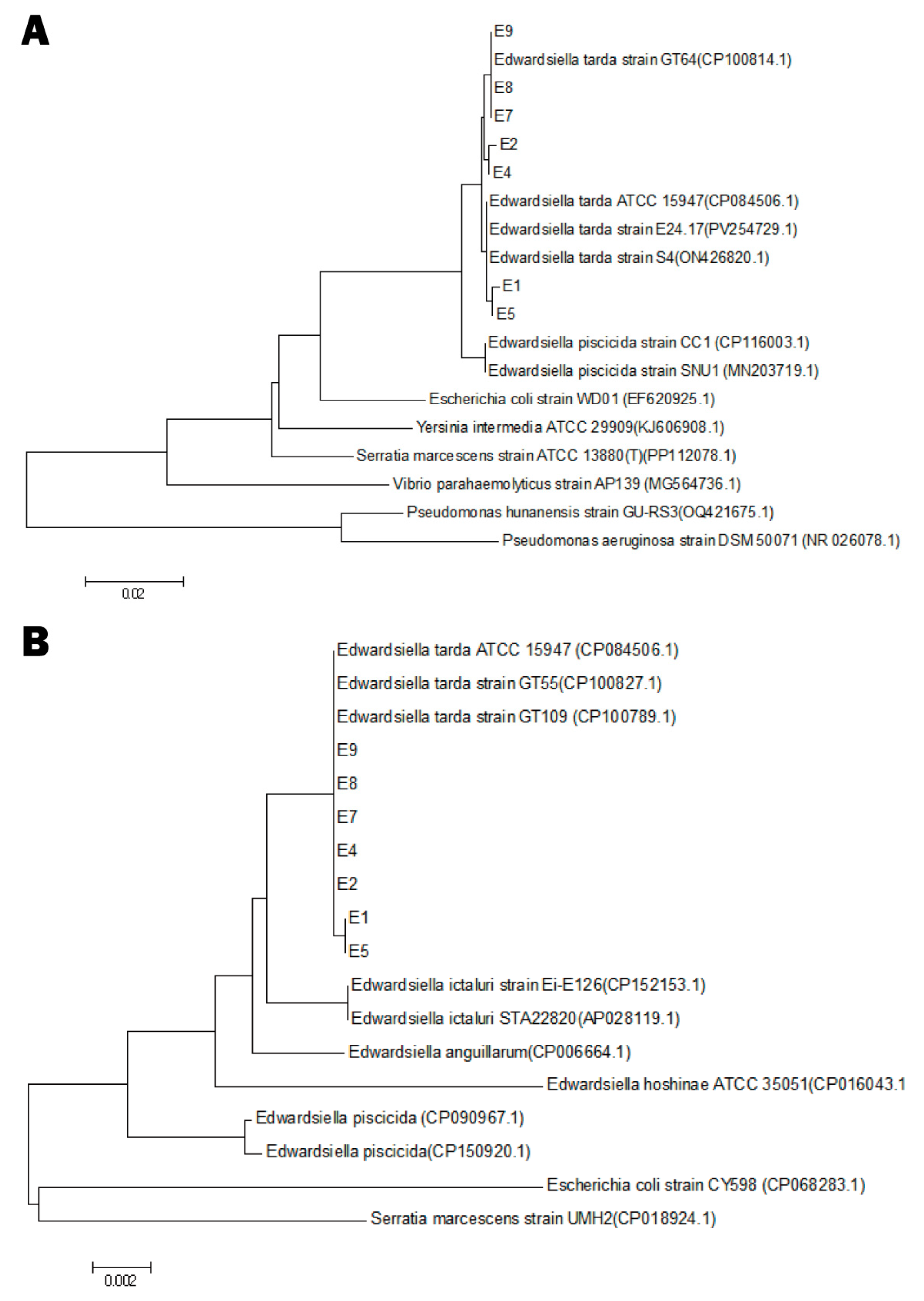 Animals 15 02487 g003