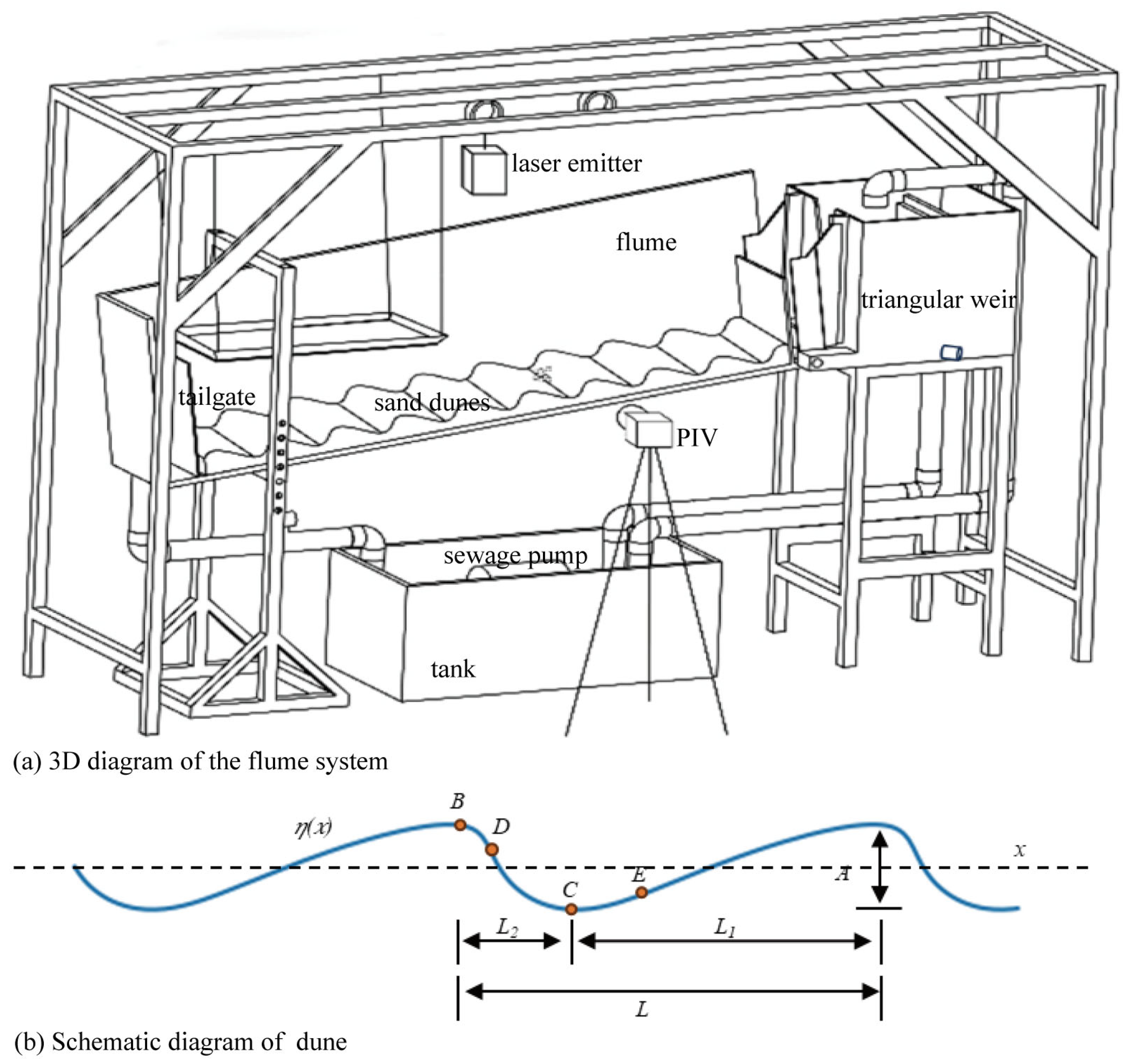 Animals 15 02488 g001