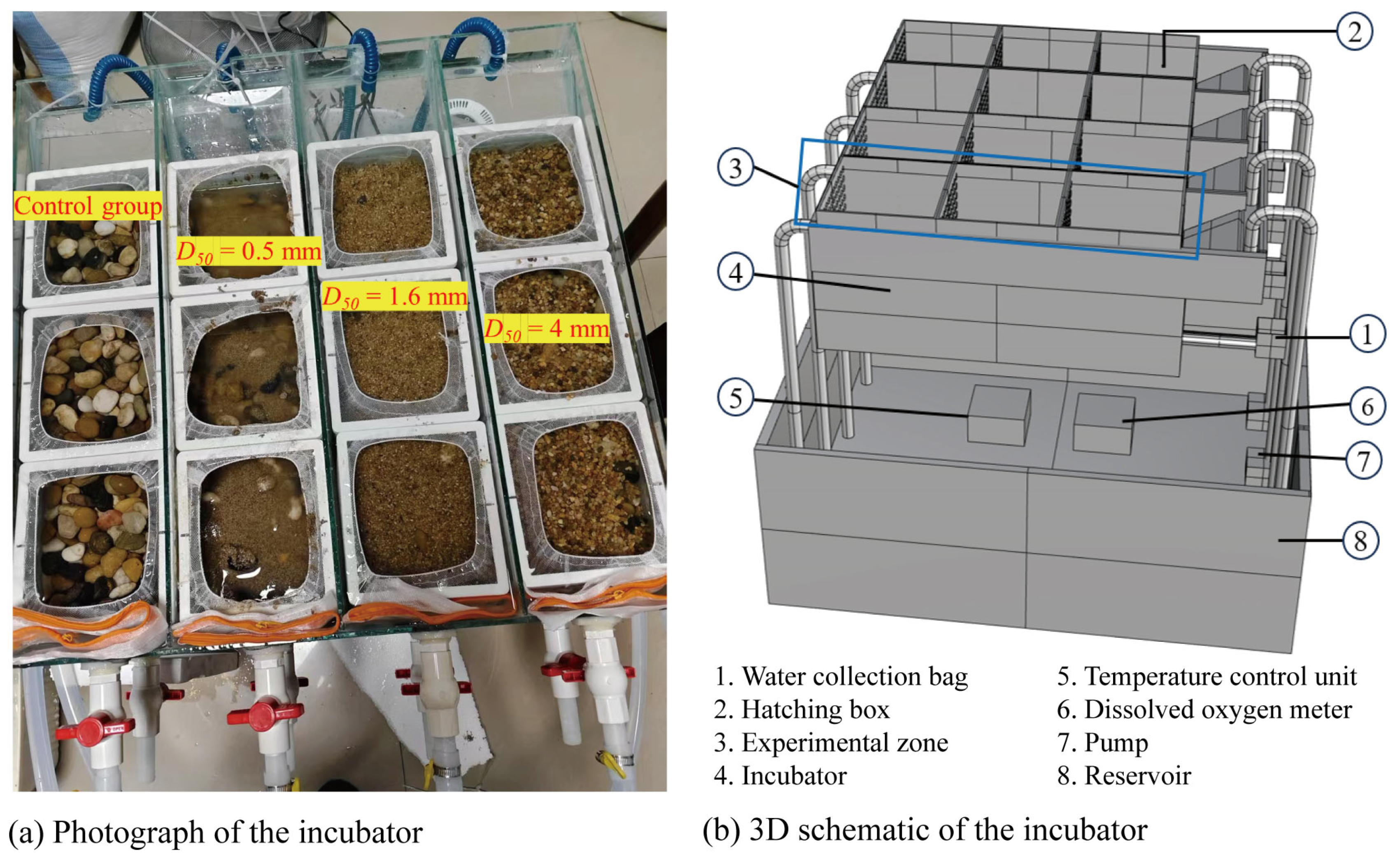 Animals 15 02488 g002