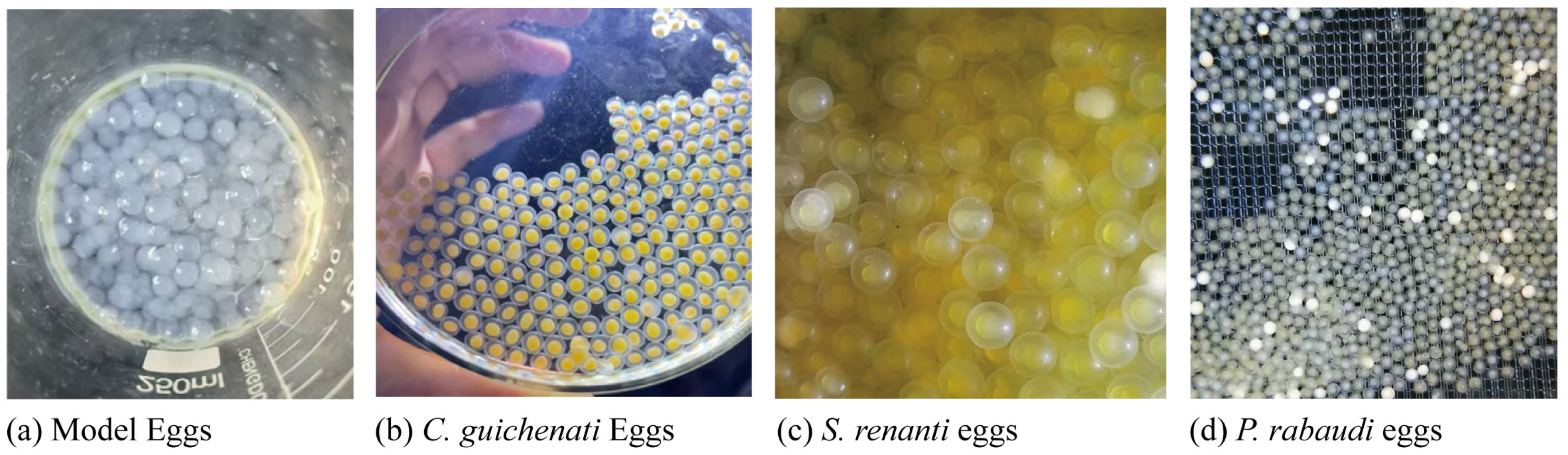 Animals 15 02488 g003