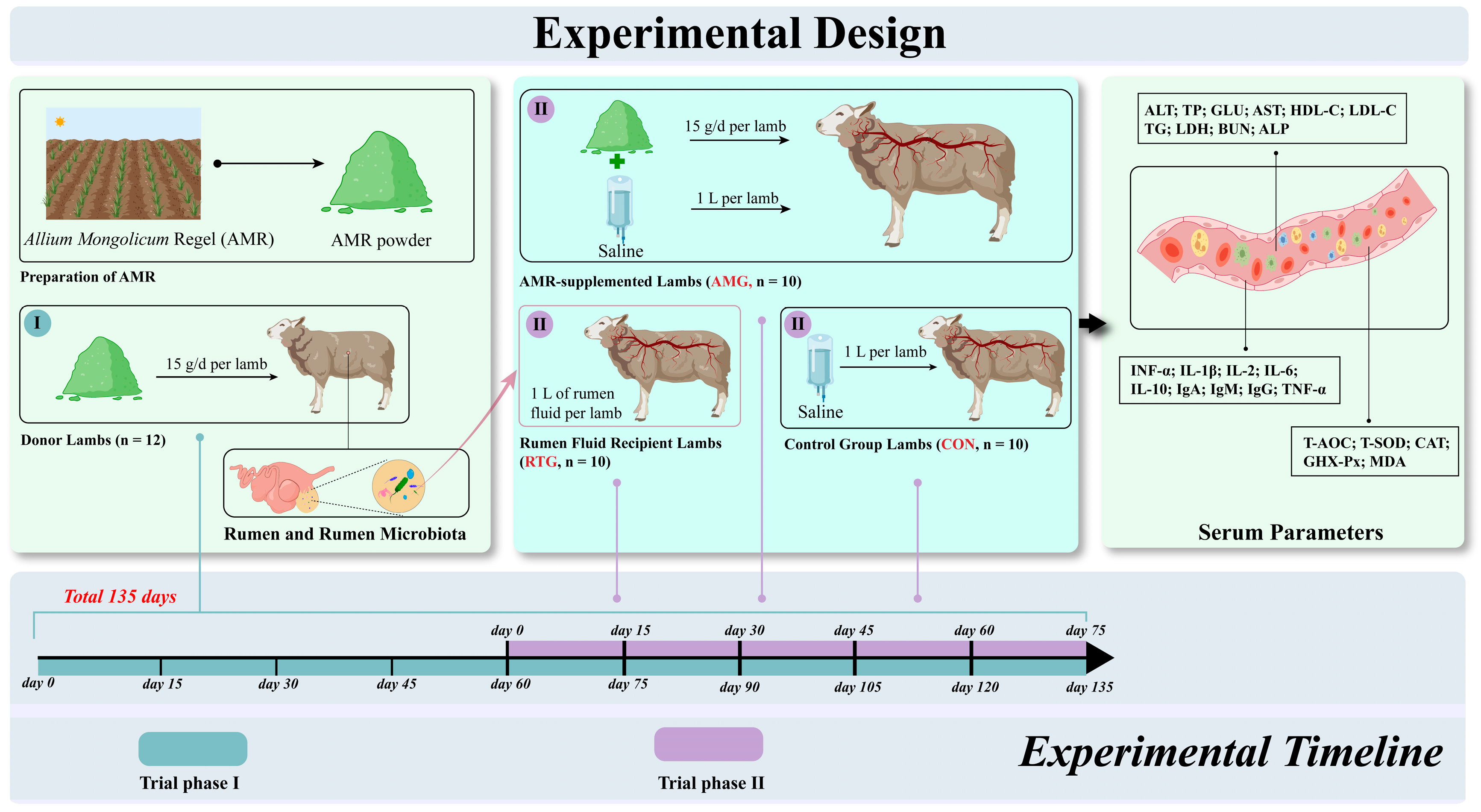 Animals 15 02491 g001
