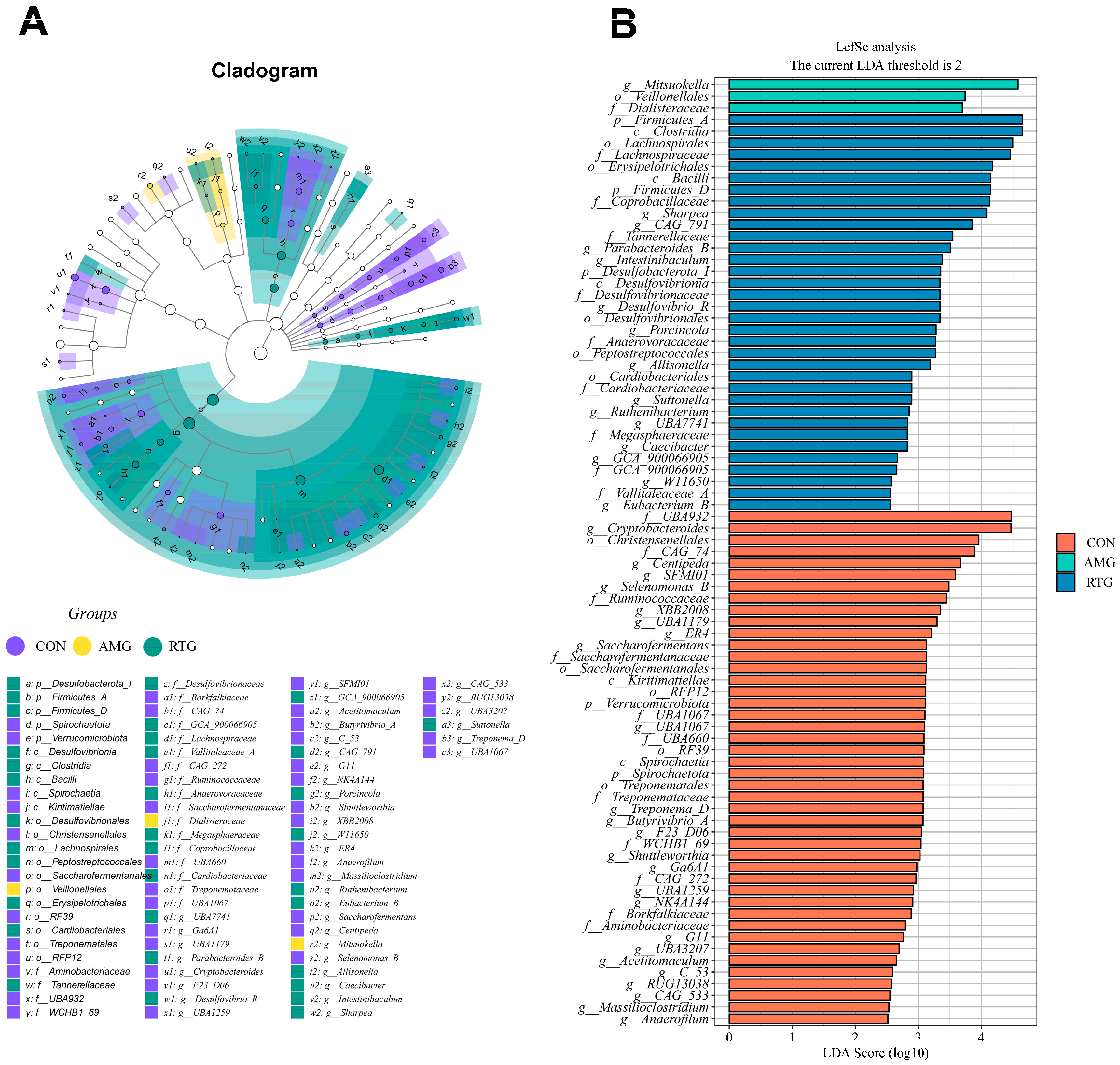 Animals 15 02491 g007