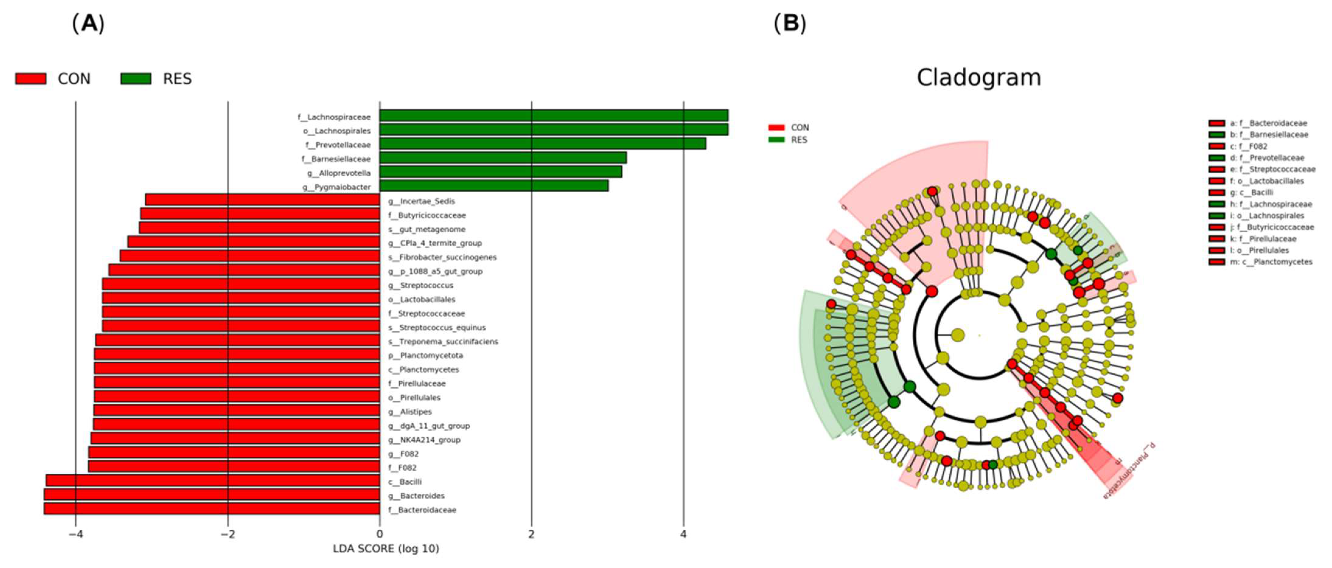 Animals 15 02494 g002