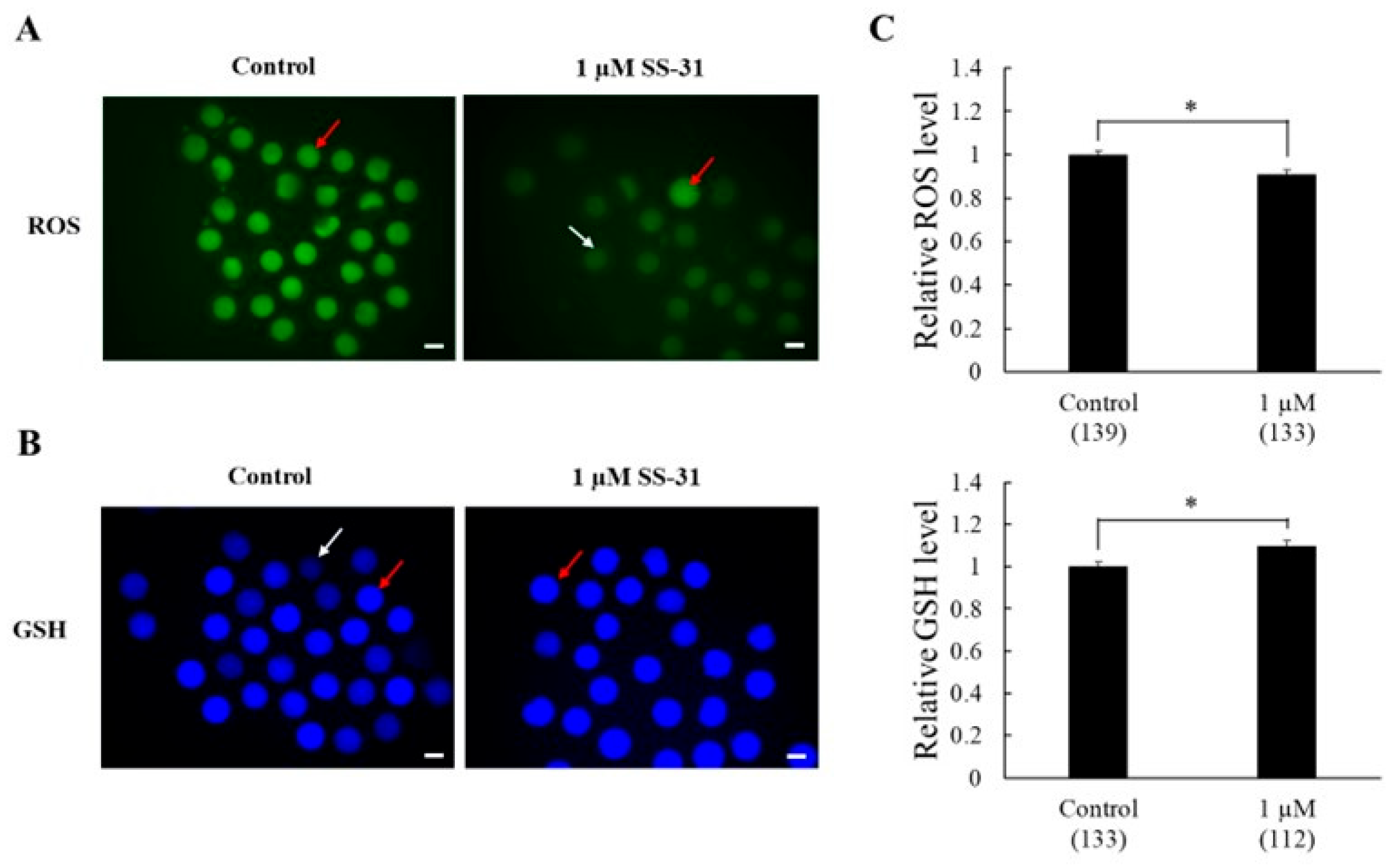Animals 15 02497 g001 Animals 15 02497 g001