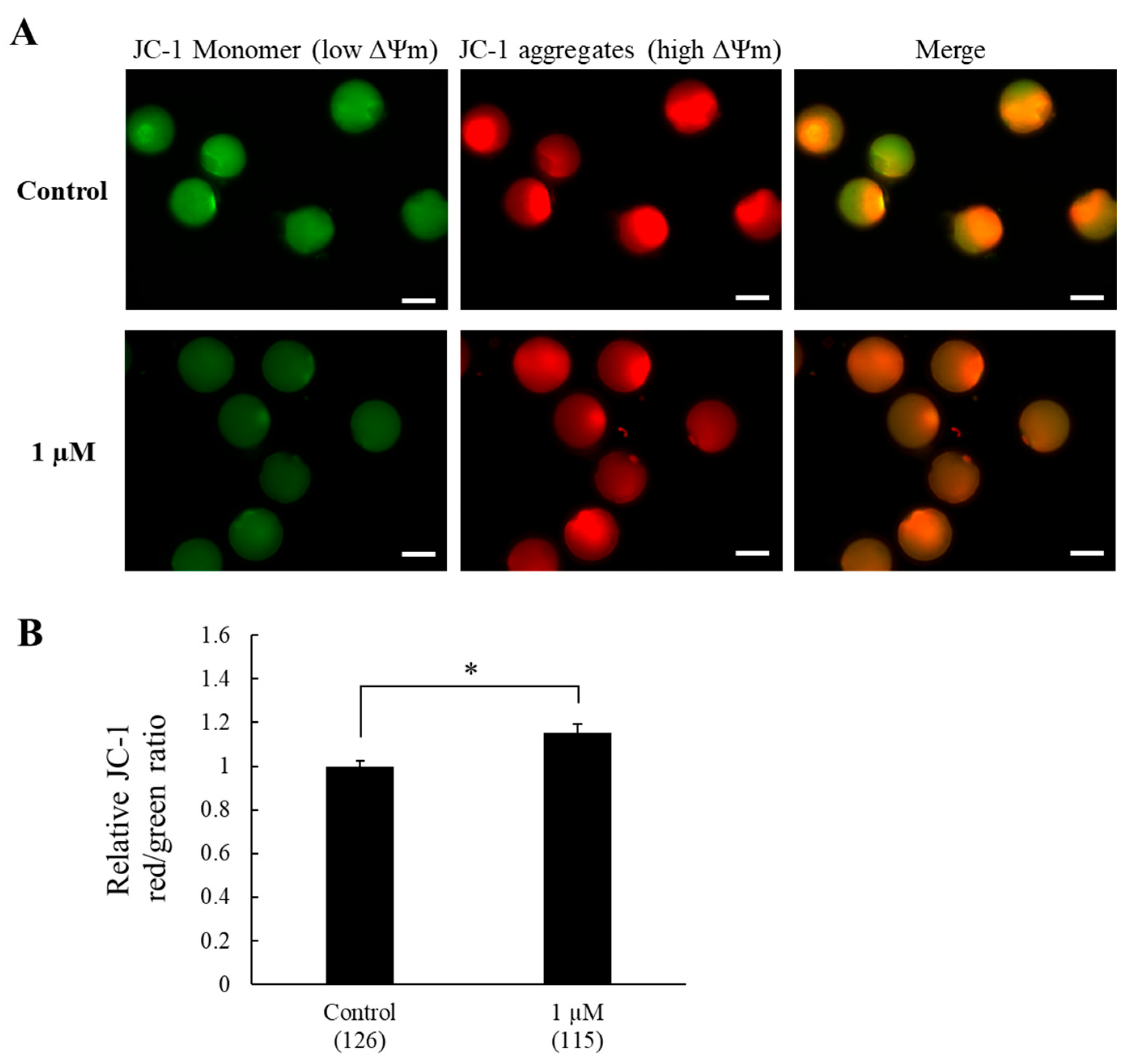 Animals 15 02497 g002 Animals 15 02497 g002
