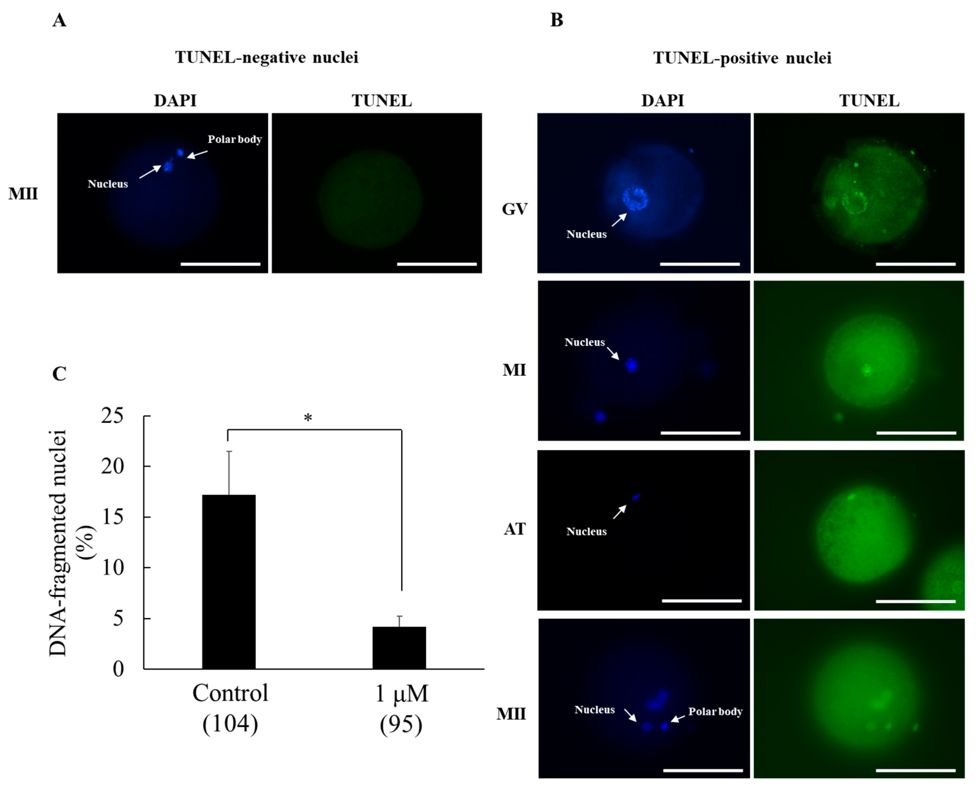 Animals 15 02497 g003 Animals 15 02497 g003
