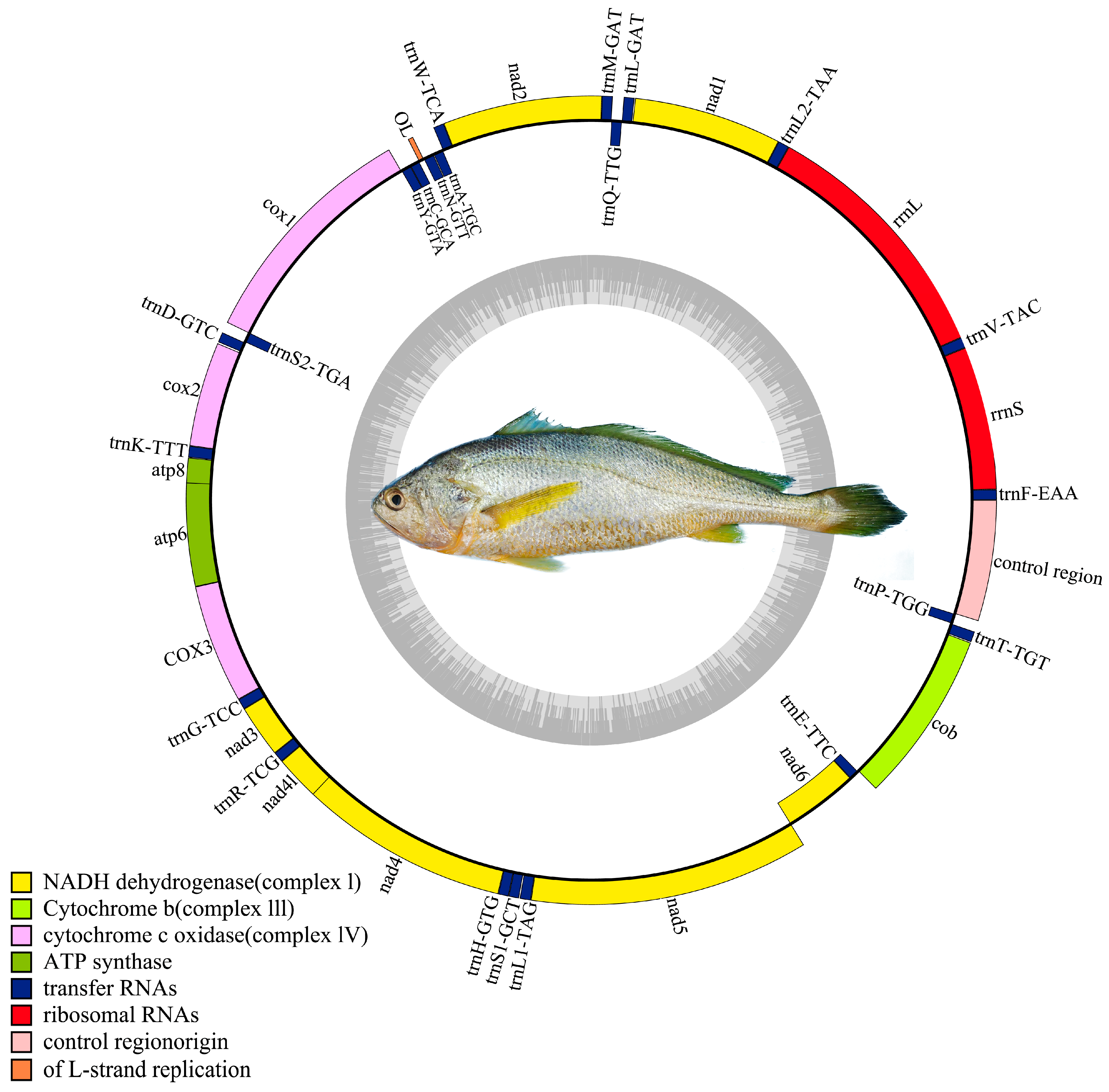 Animals 15 02498 g004