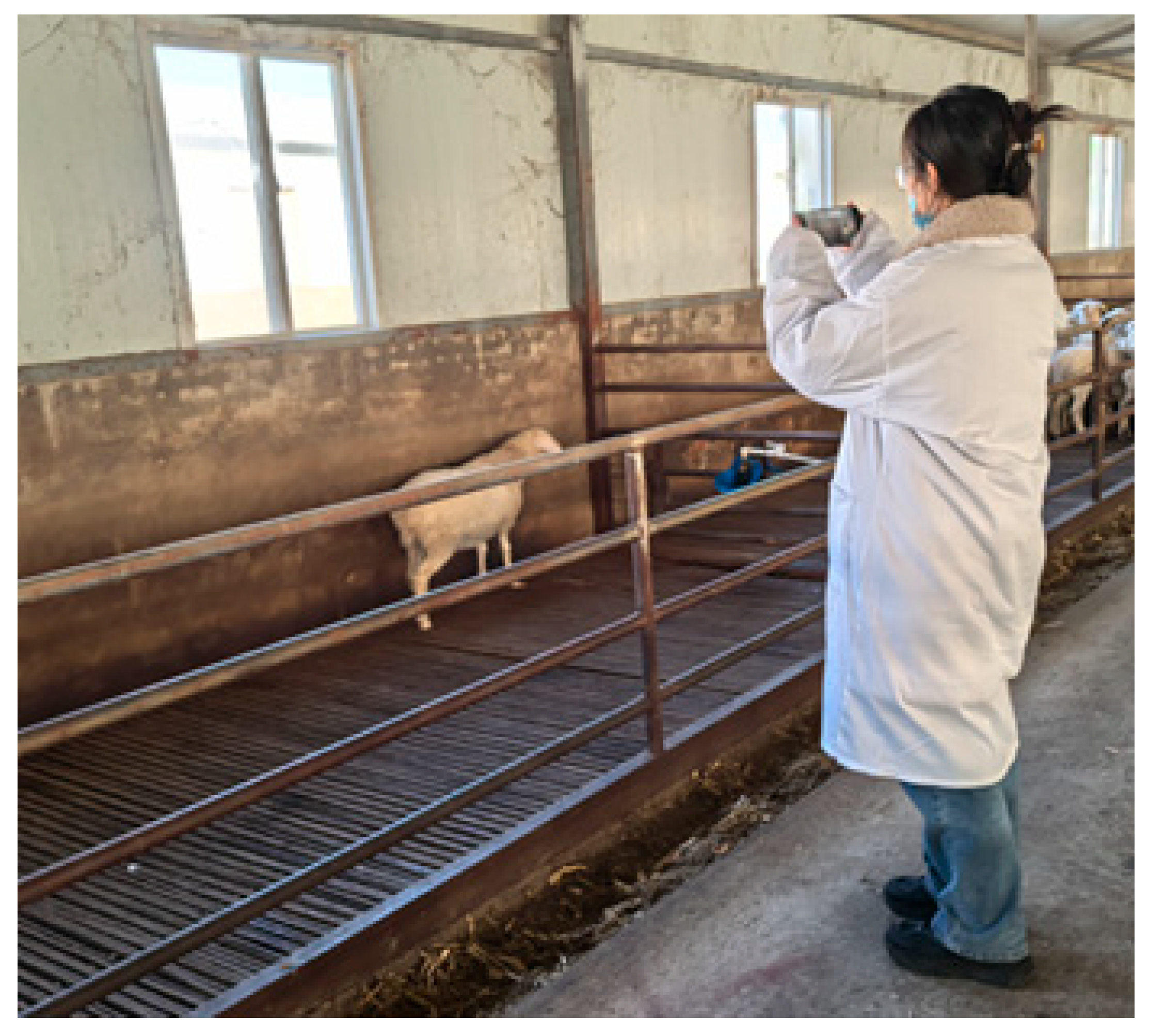 Animals 15 02499 g001