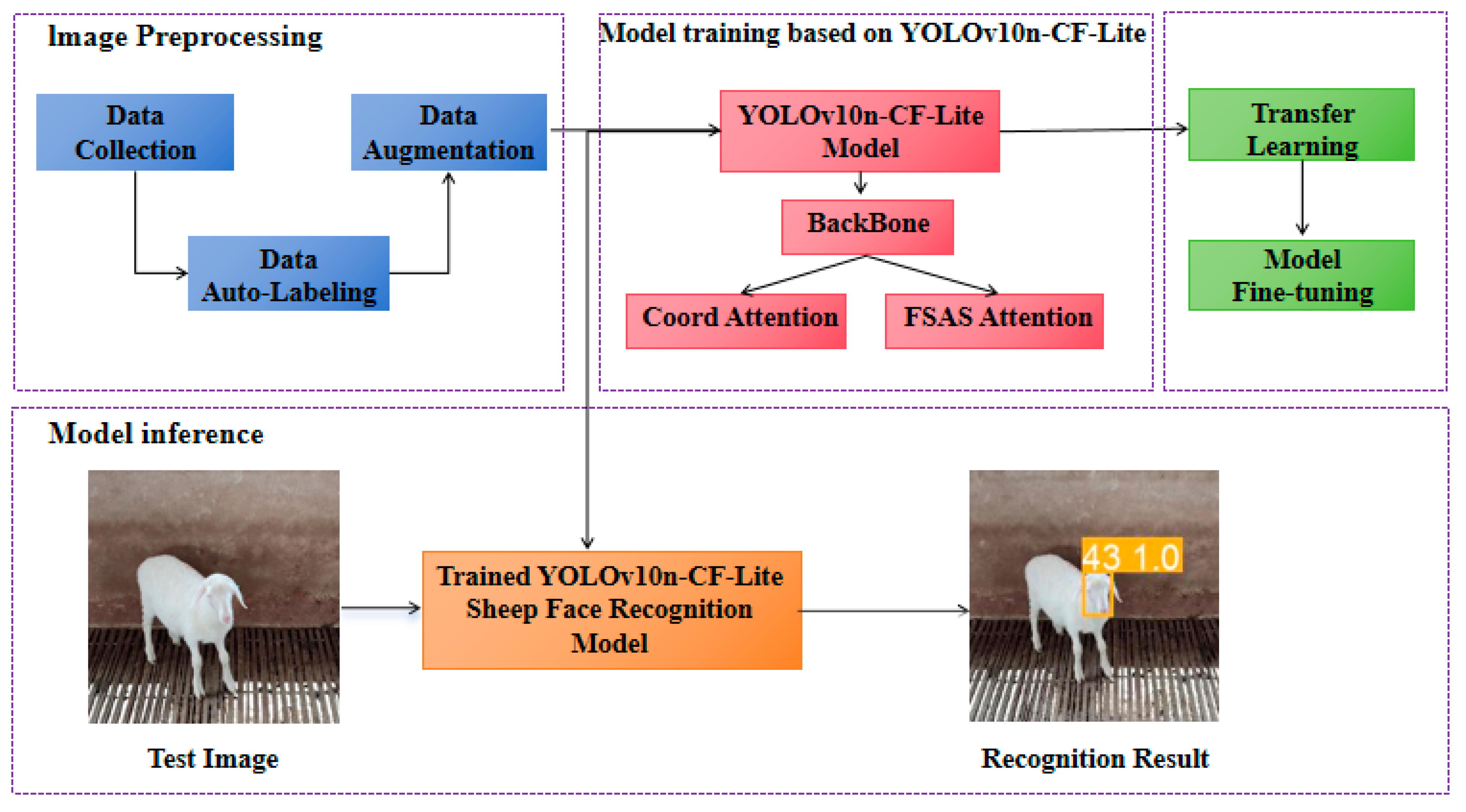 Animals 15 02499 g006