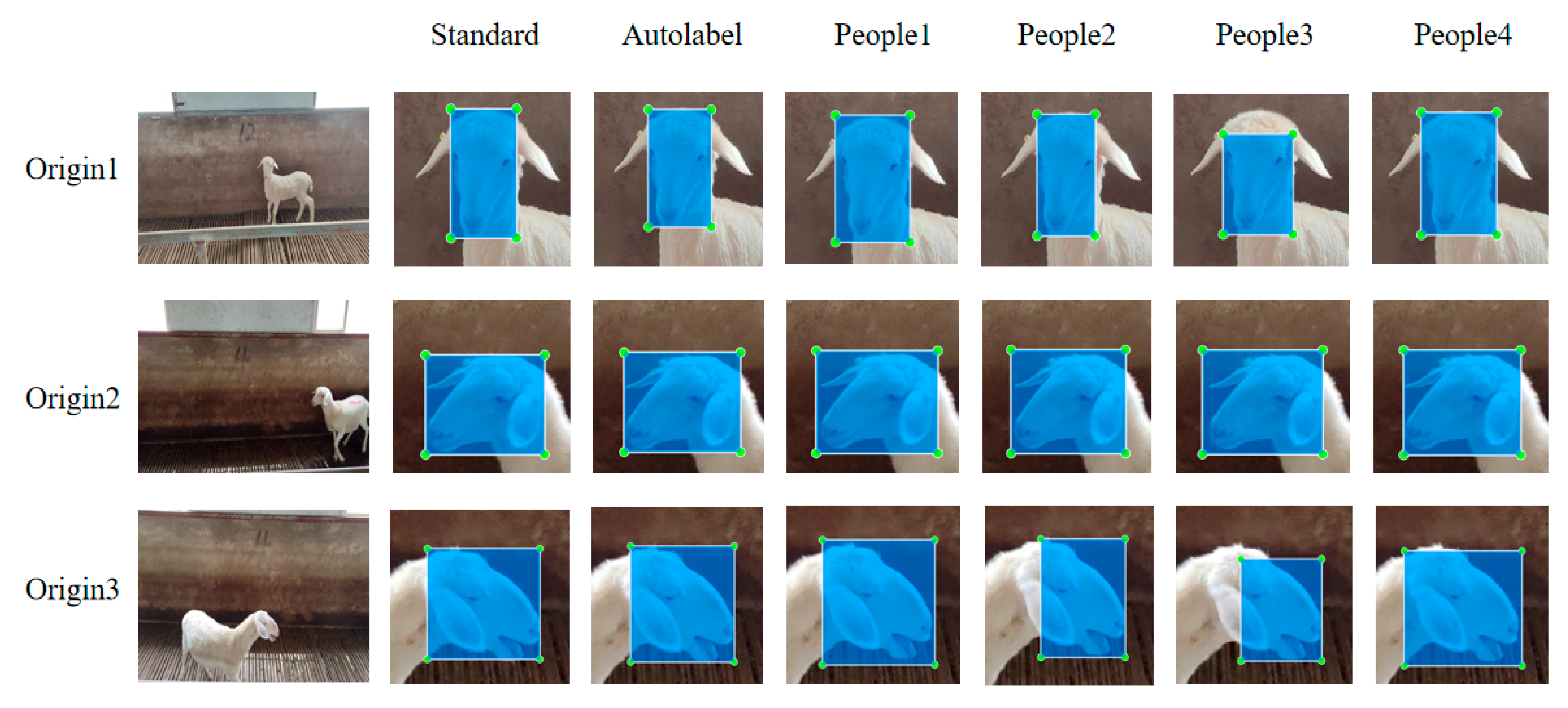 Animals 15 02499 g012