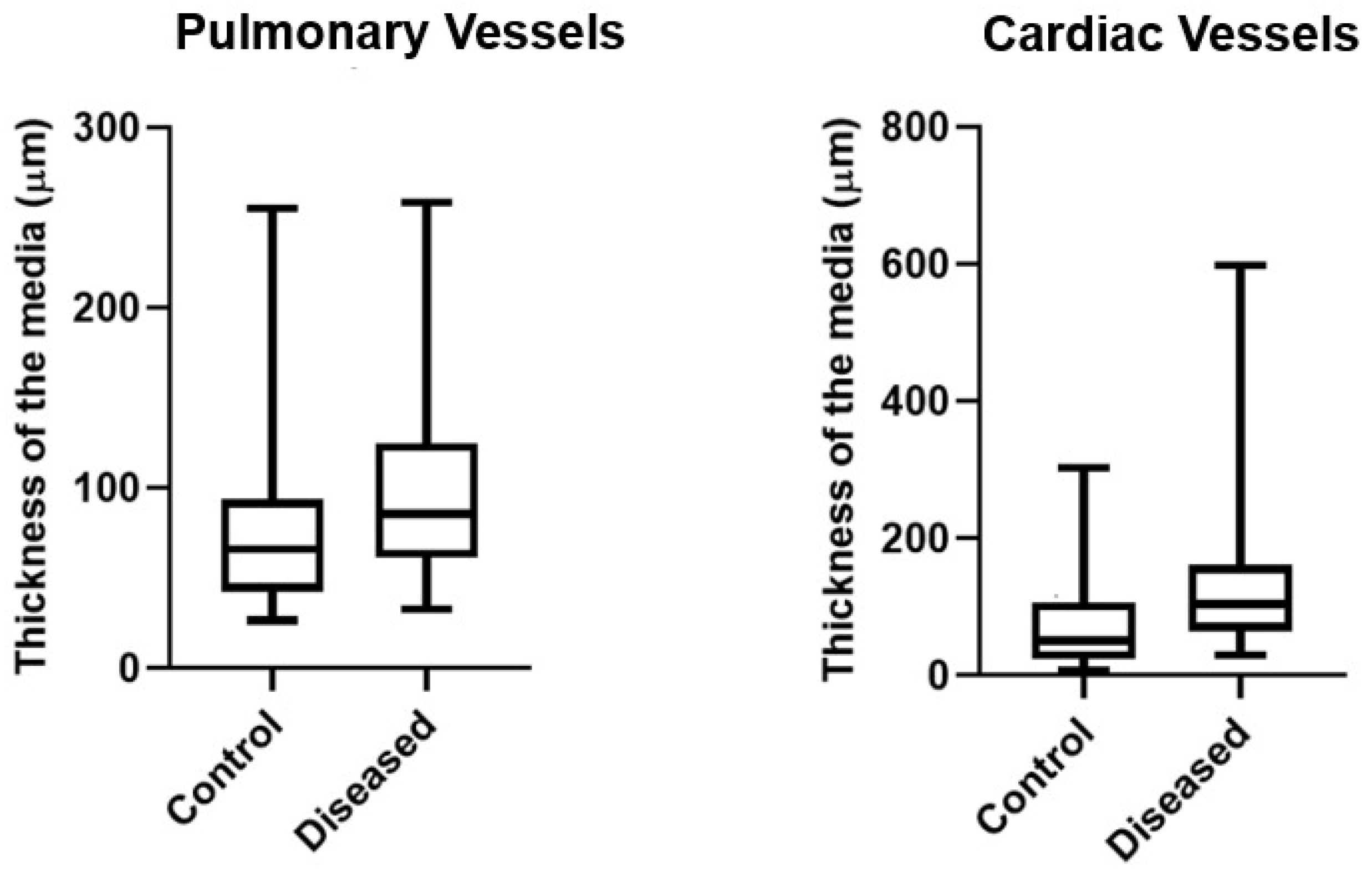 Animals 15 02501 g004