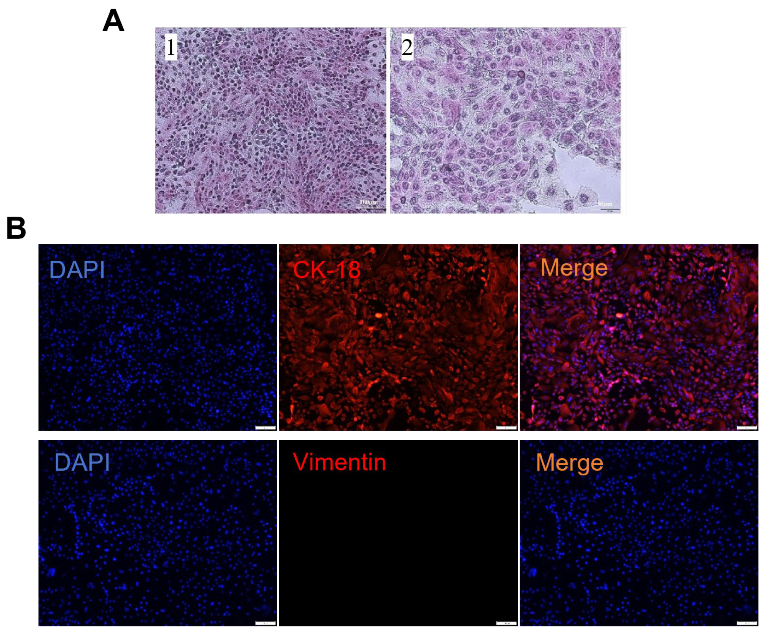 Animals 15 02509 g002