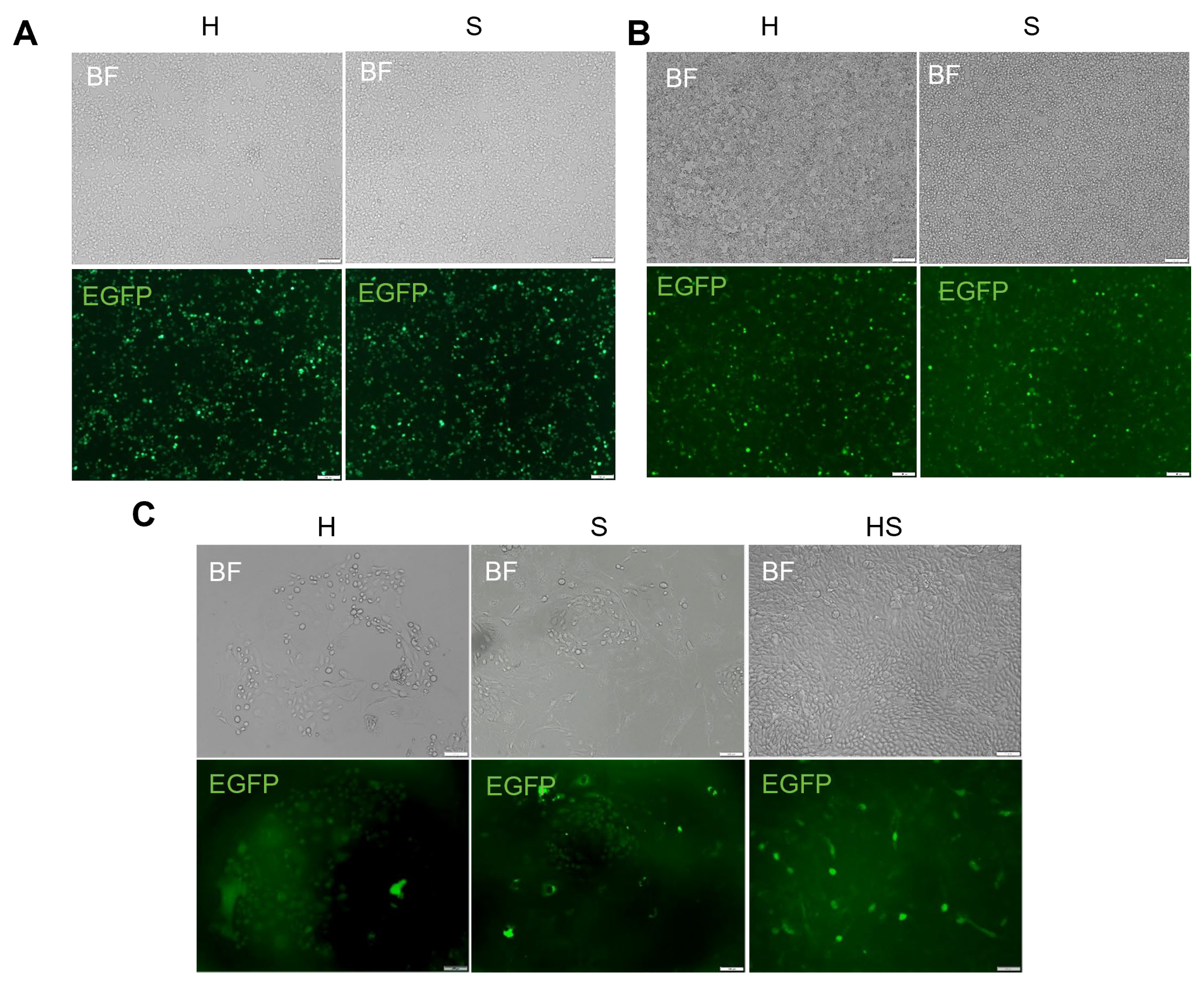 Animals 15 02509 g003
