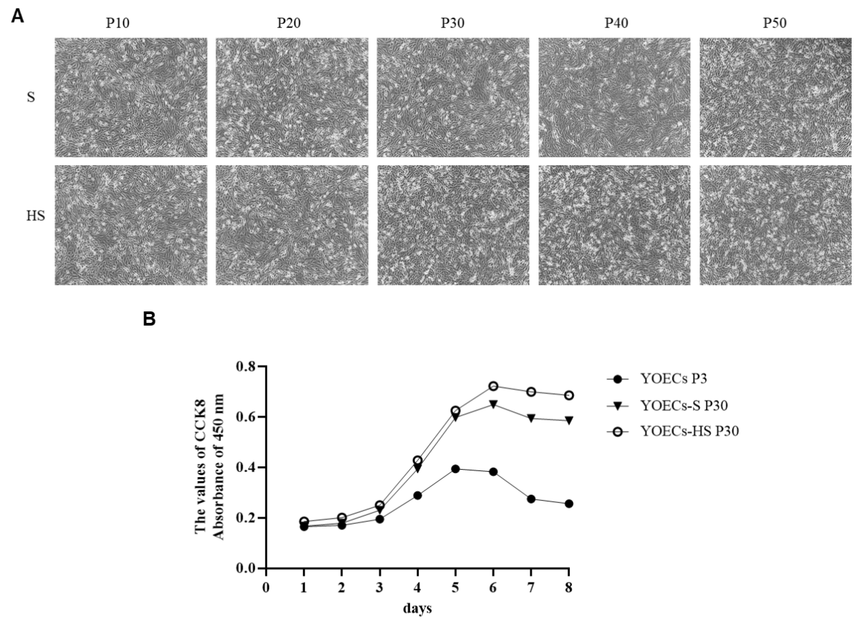Animals 15 02509 g004