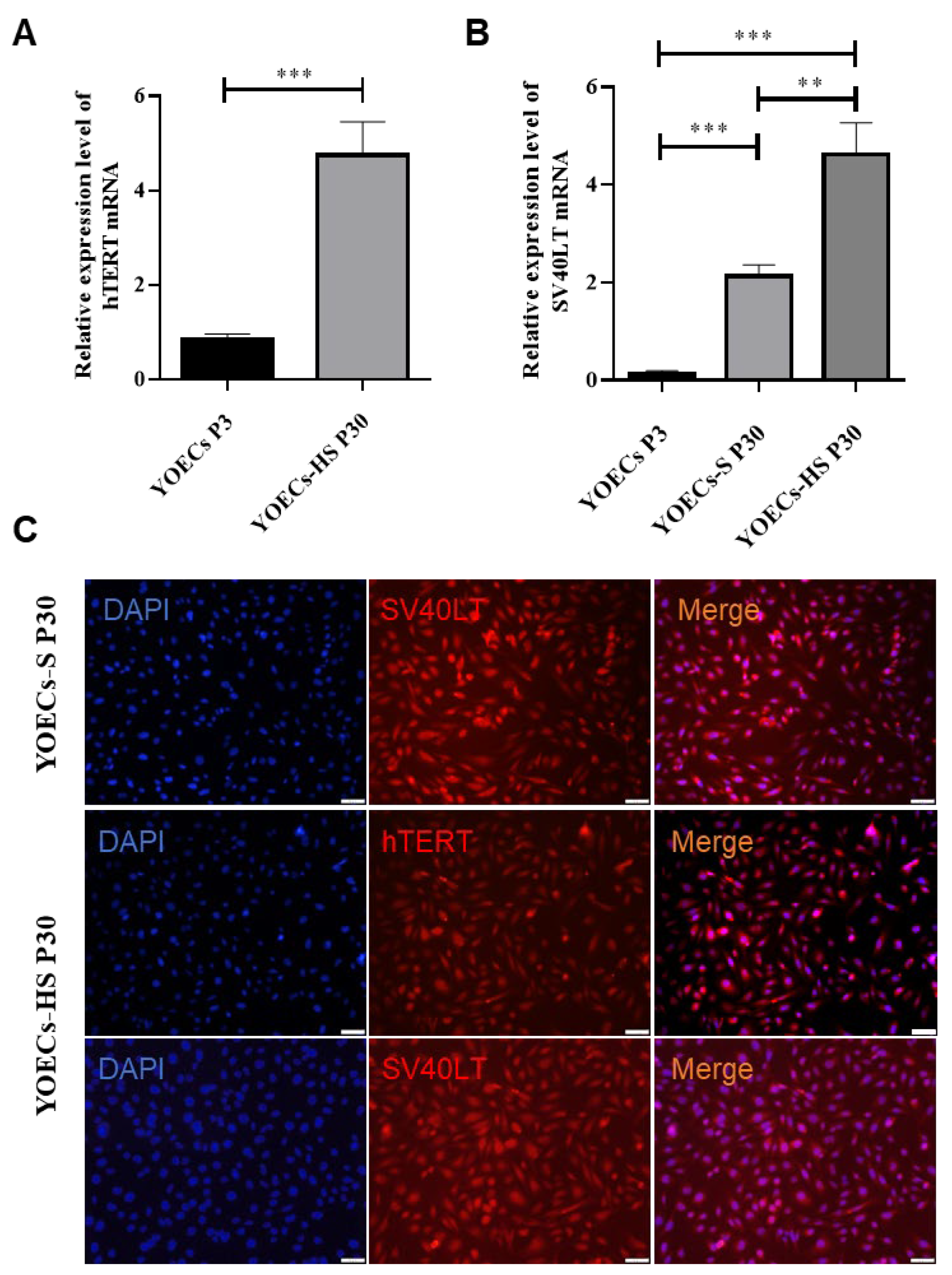 Animals 15 02509 g005