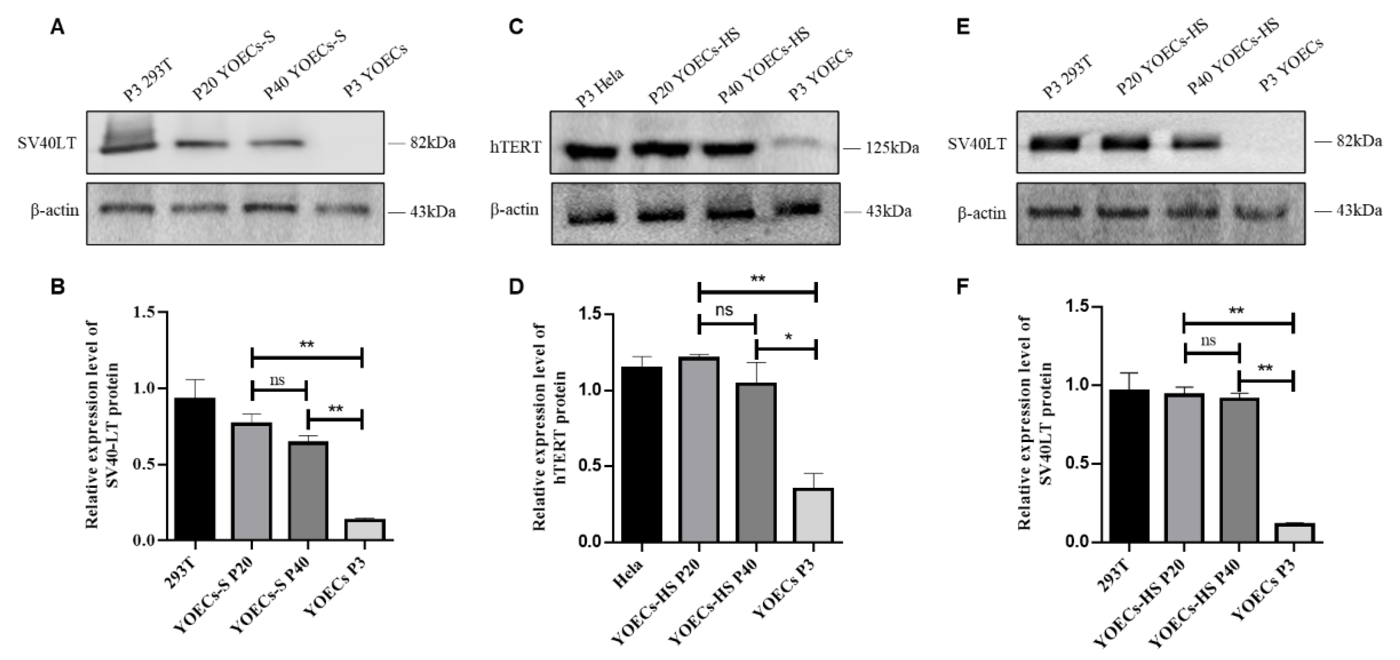 Animals 15 02509 g006