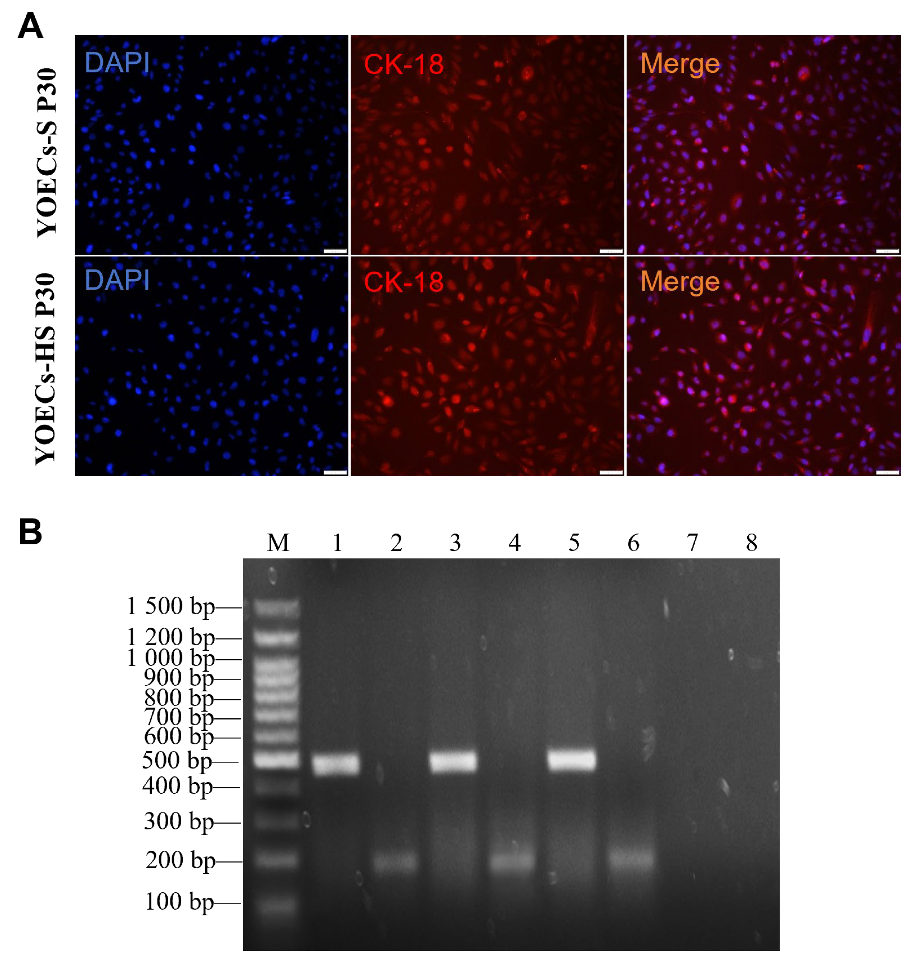 Animals 15 02509 g008