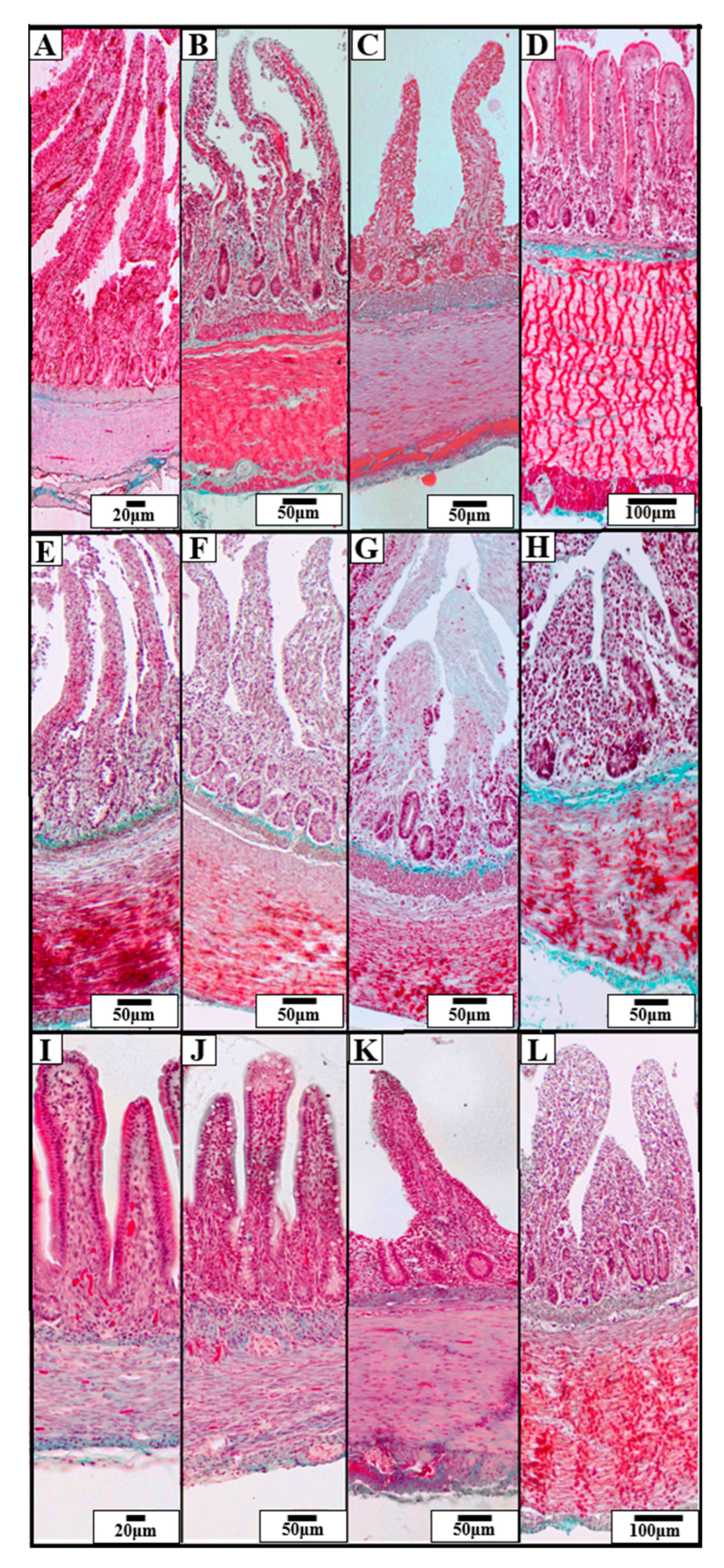 Animals 15 02511 g002