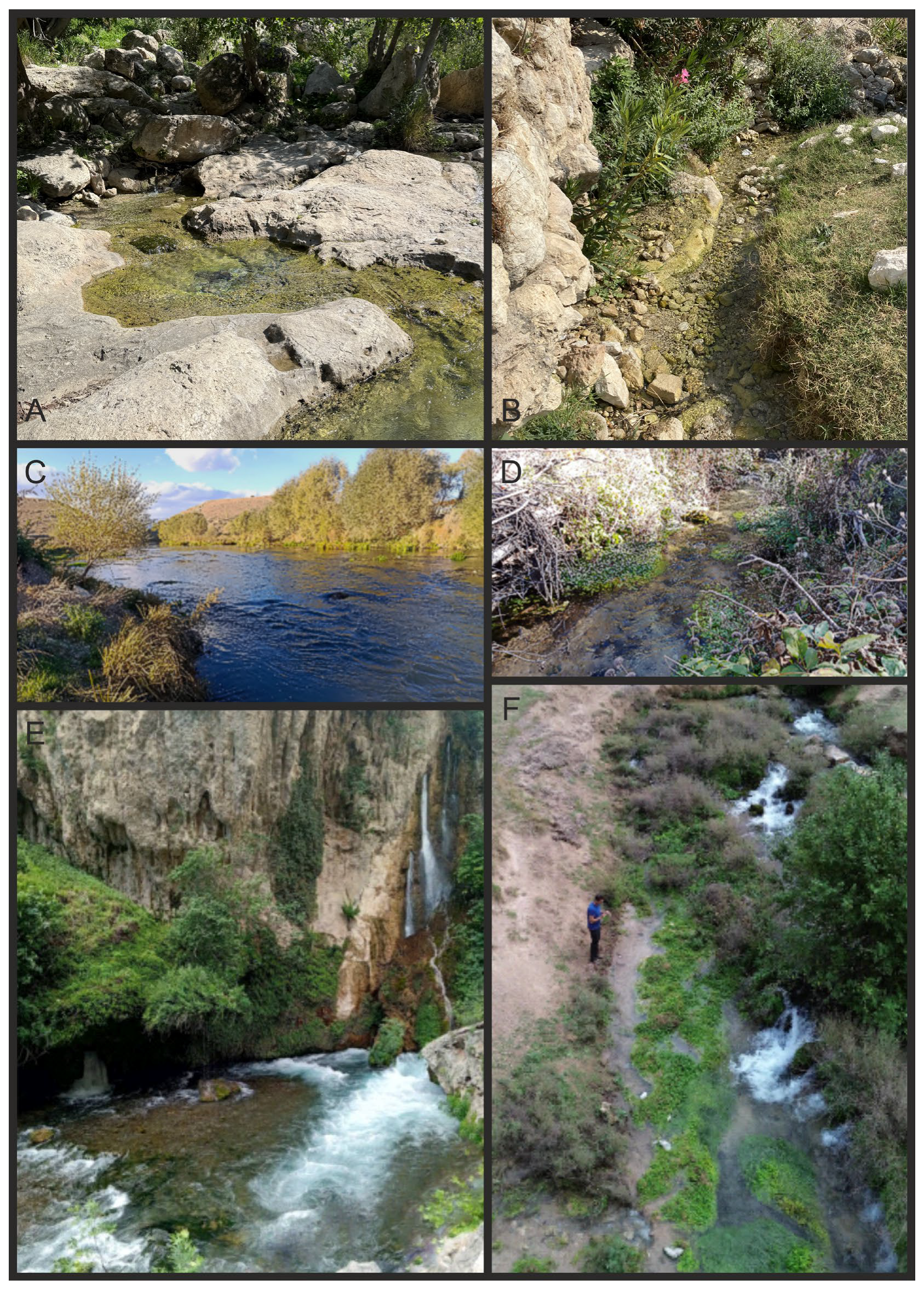 Animals 15 02512 g002