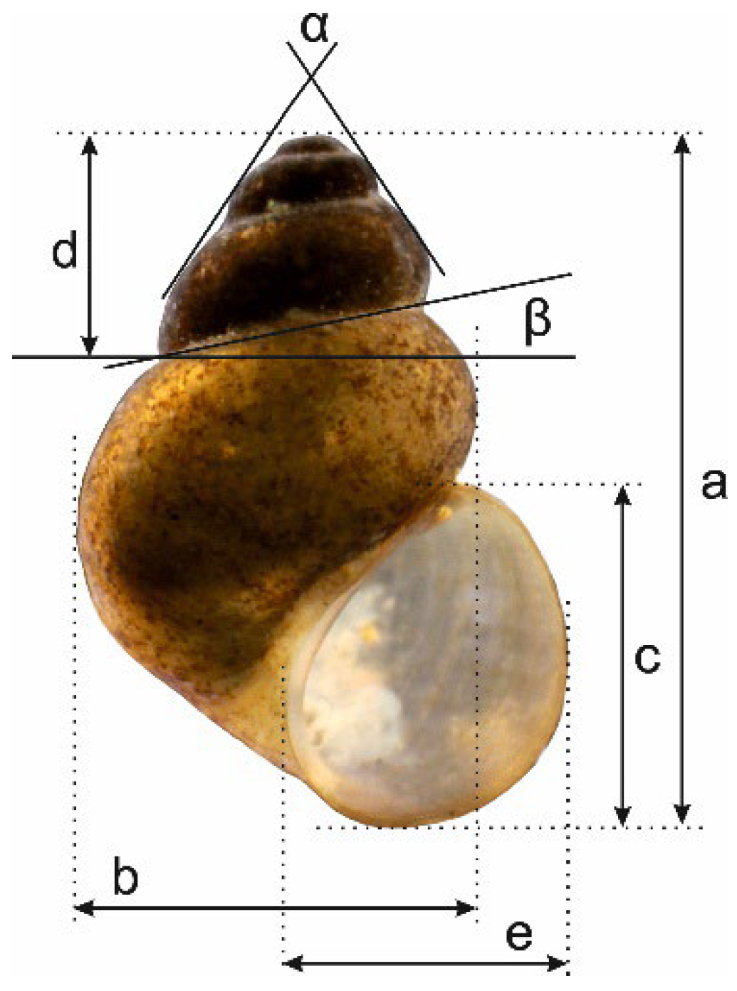 Animals 15 02512 g003