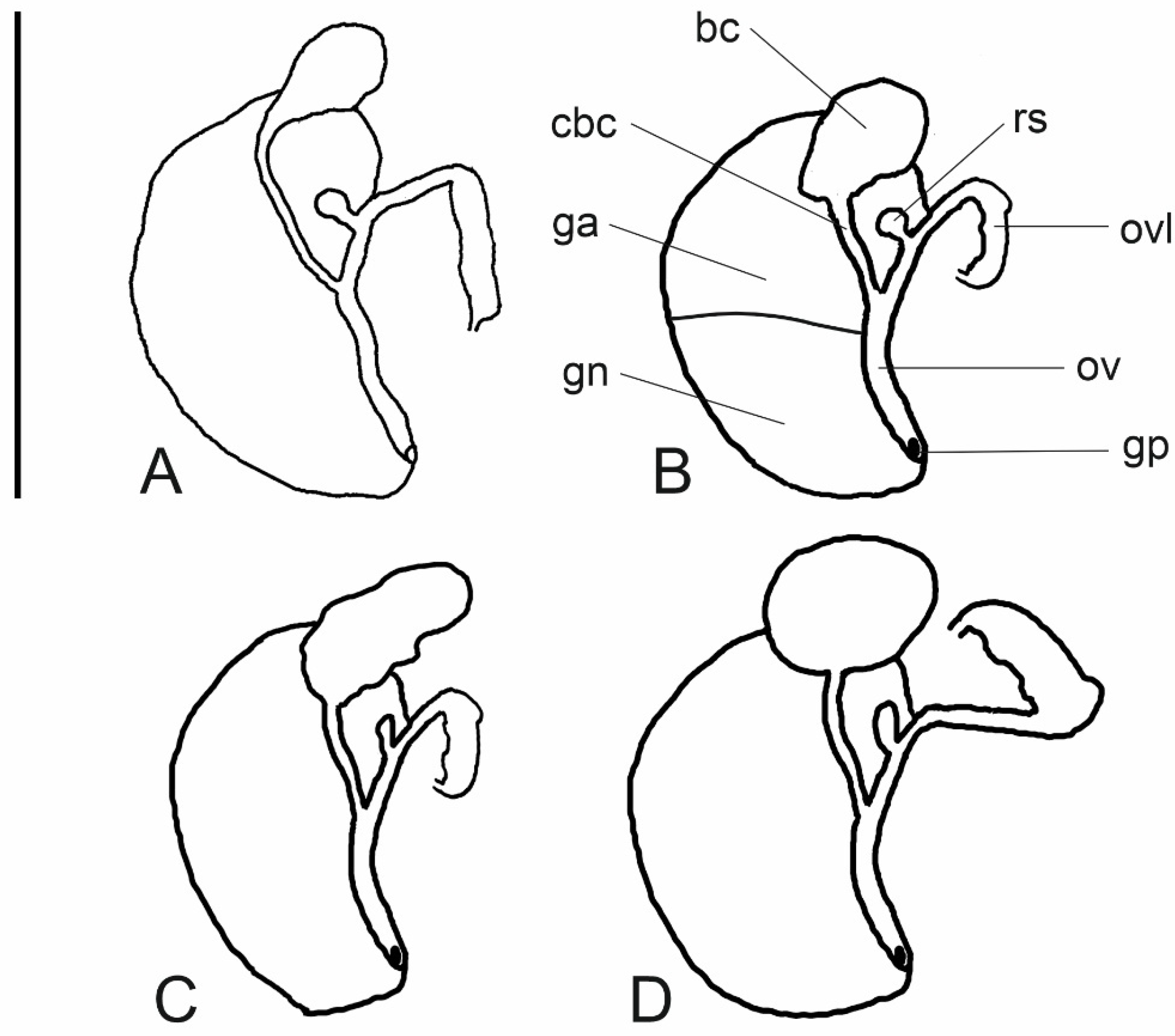 Animals 15 02512 g012